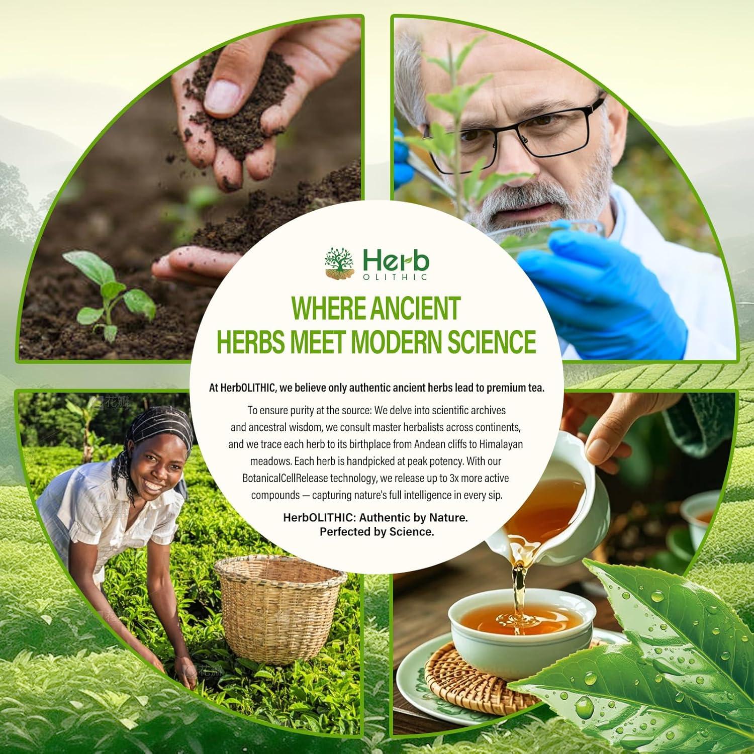 Té Diurético Natural HerbOLITHIC Uva Ursi 30 Bolsas Detox