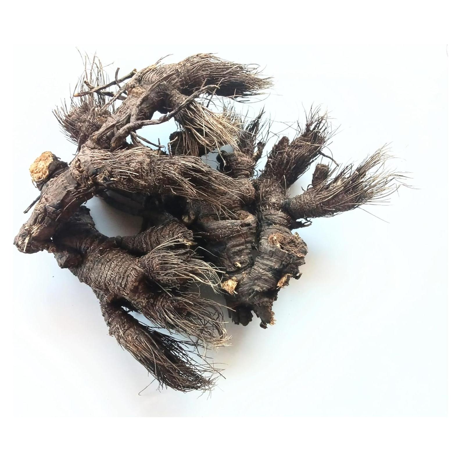 Raíz de Osha 453g Craft Wild Herbs - 100% Natural