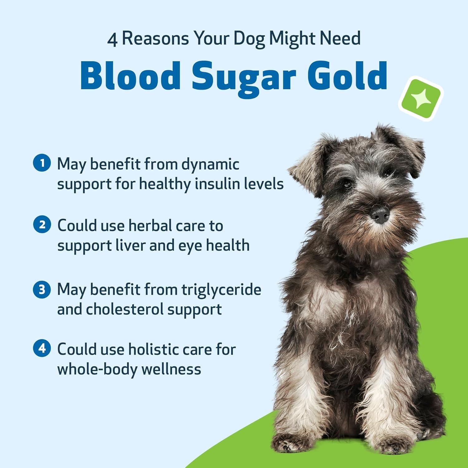 Suplemento Líquido Pet Wellbeing Blood Sugar Gold 59 ml