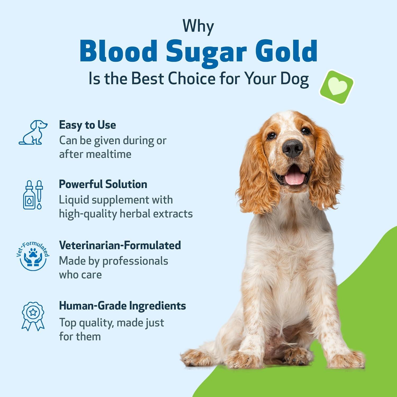 Suplemento Líquido Pet Wellbeing Blood Sugar Gold 59 ml