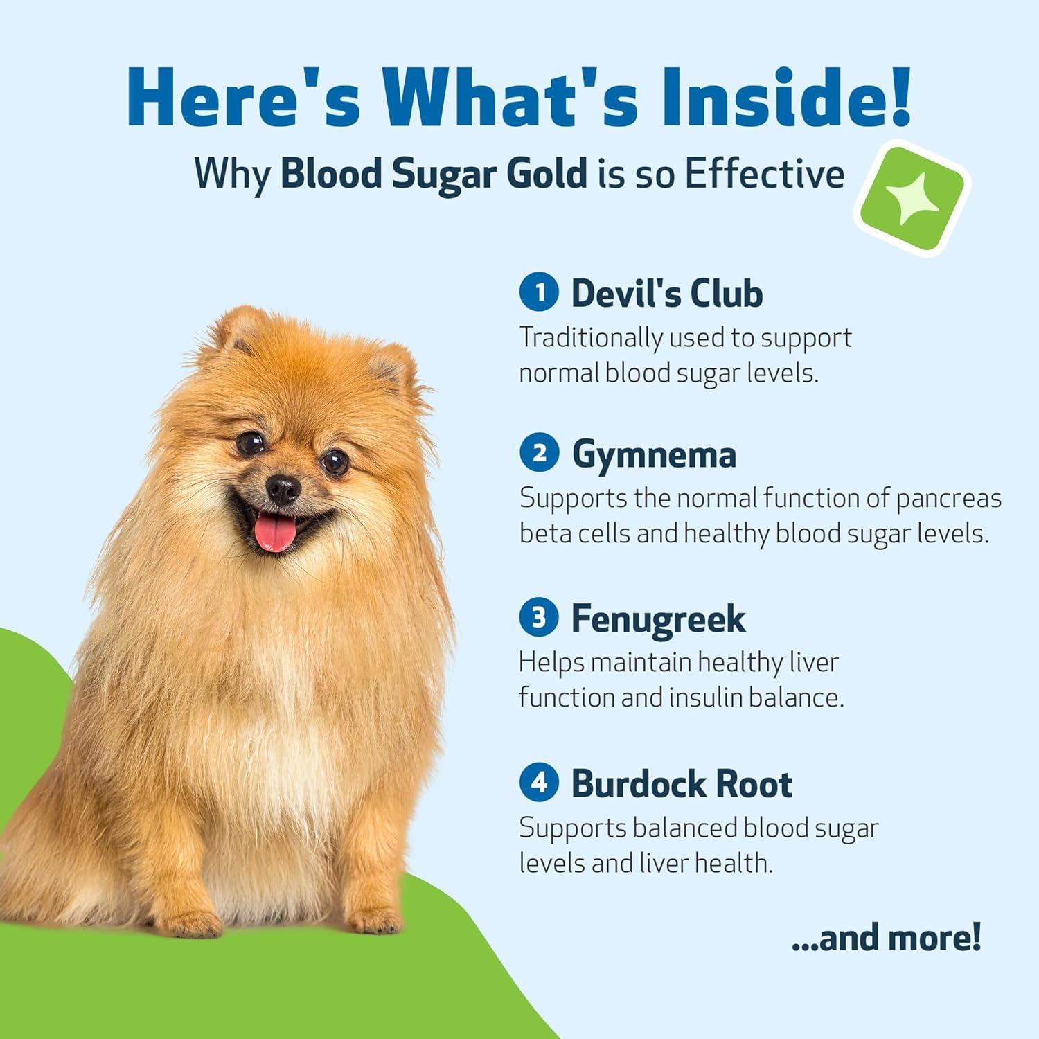 Suplemento Líquido Pet Wellbeing Blood Sugar Gold 59 ml