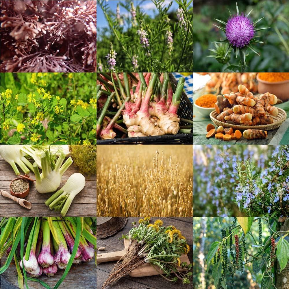 Suplemento de Lactancia Orgánico Rue de Cabra 60 Tabletas