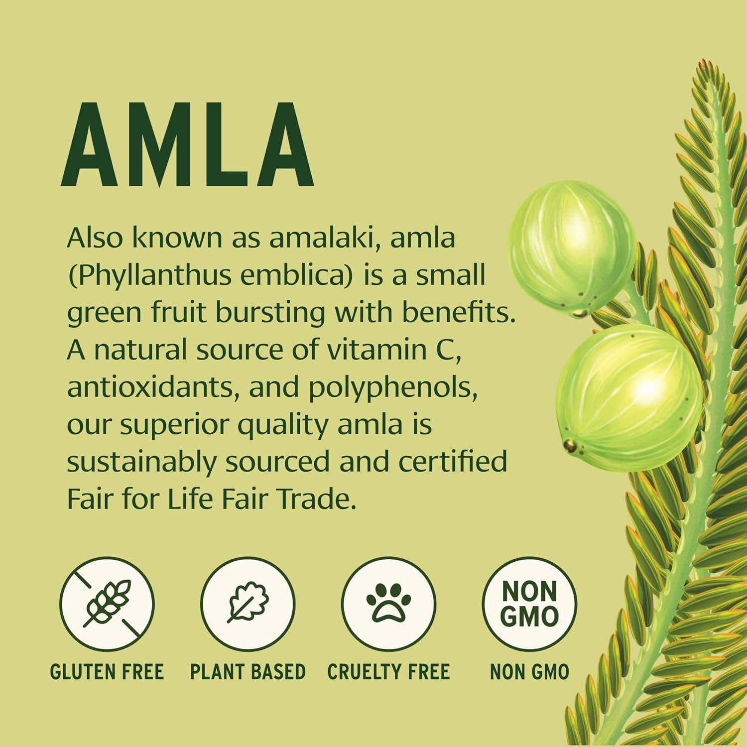 Polvo de Amla Orgánico Banyan Botanicals 99.22g - Vitamina C