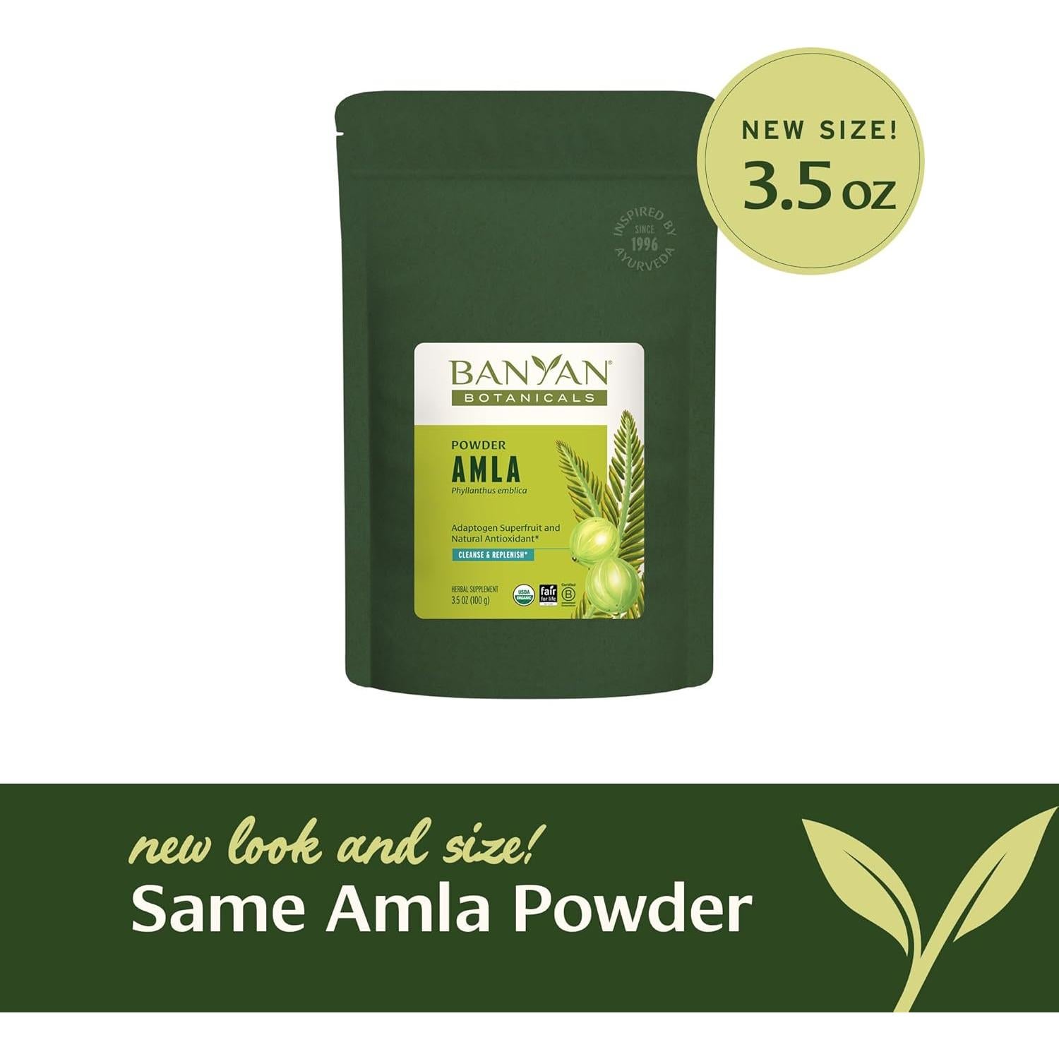 Polvo de Amla Orgánico Banyan Botanicals 99.22g - Vitamina C