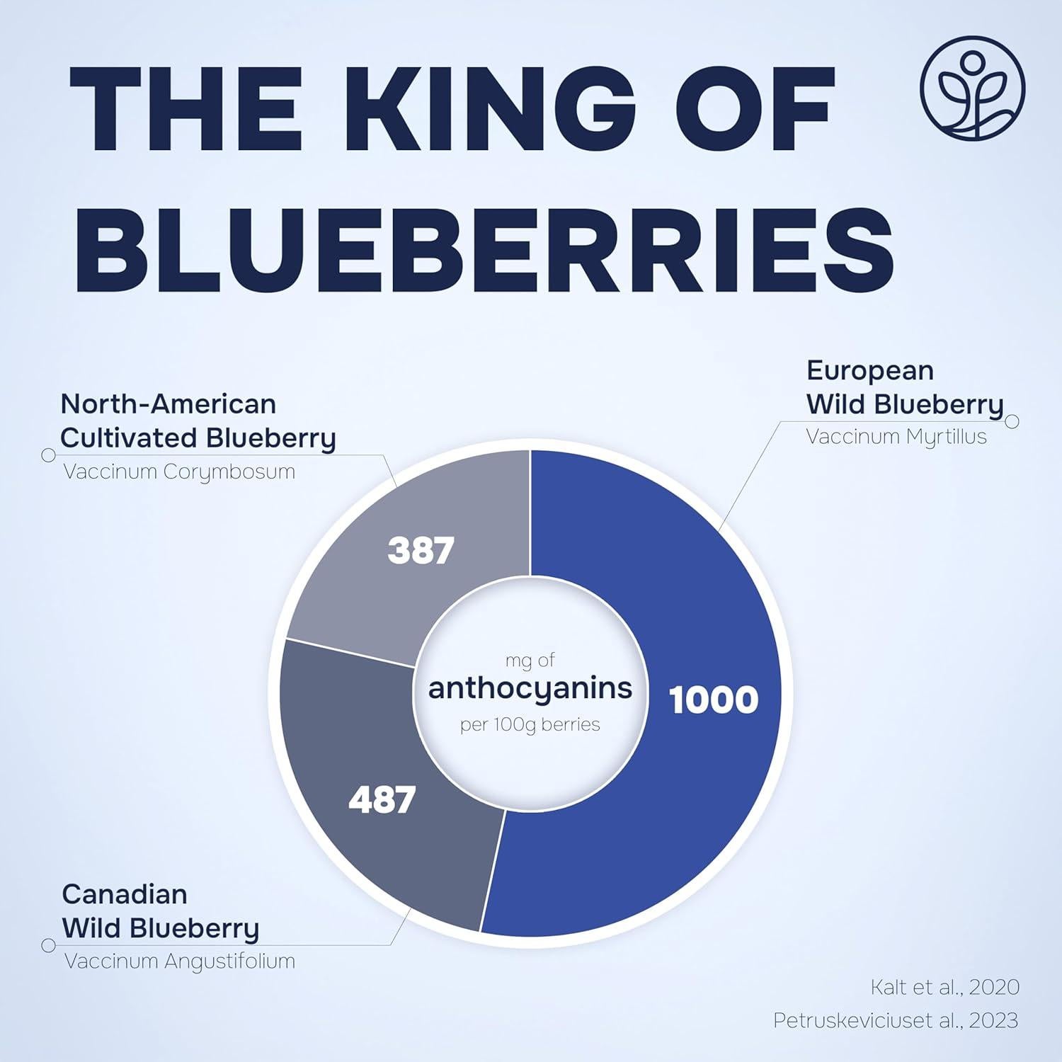 Trío de Superalimentos Orgánicos Jungle Powders - Arándanos Azules Liofilizados 113g, Polvo de Arándano Silvestre 142g y Extracto de Bilberry 100ml