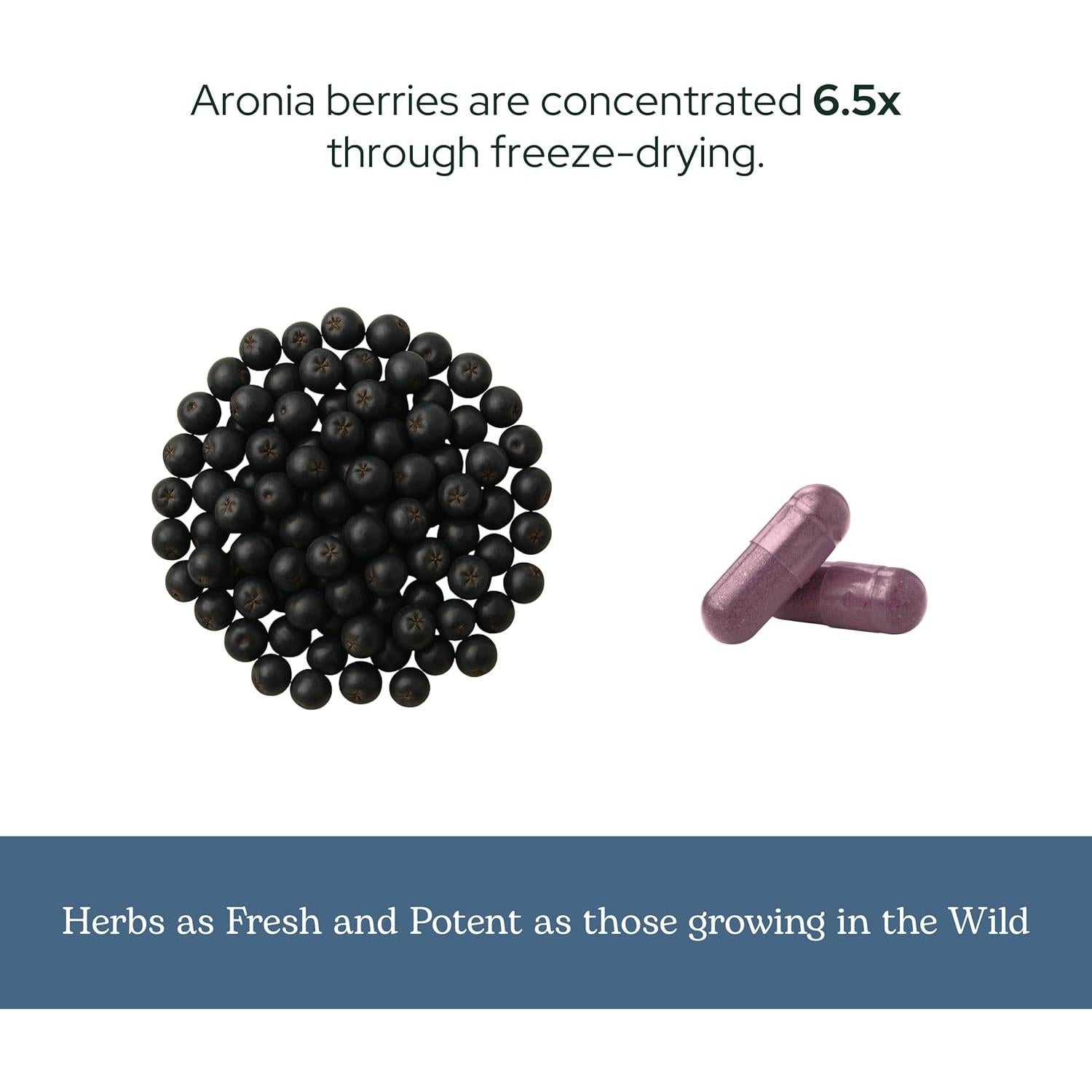 Cápsulas de Aronia Orgánica Liofilizada Eclectic Institute 90 CT