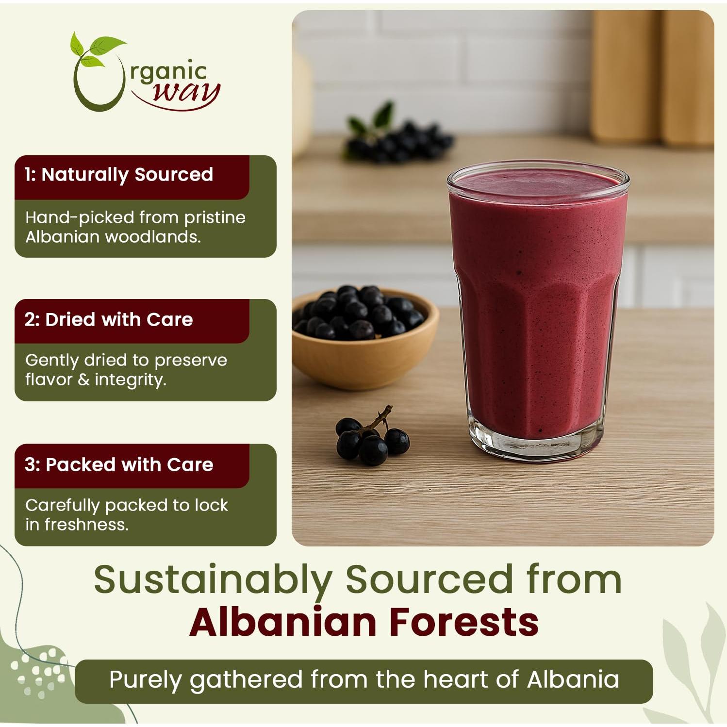 Polvo de Chokeberries Orgánico 113.4 g - Organic Way