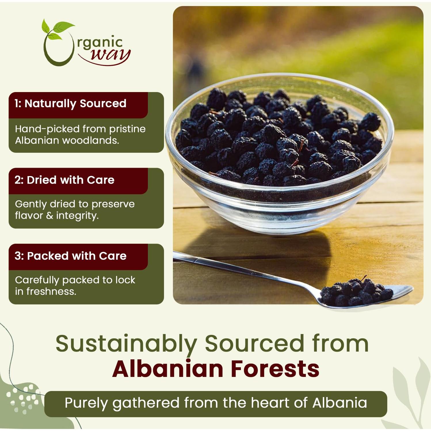 Chokeberries Orgánicas Enteras Forma Orgánica 113.4g - Sin Gluten