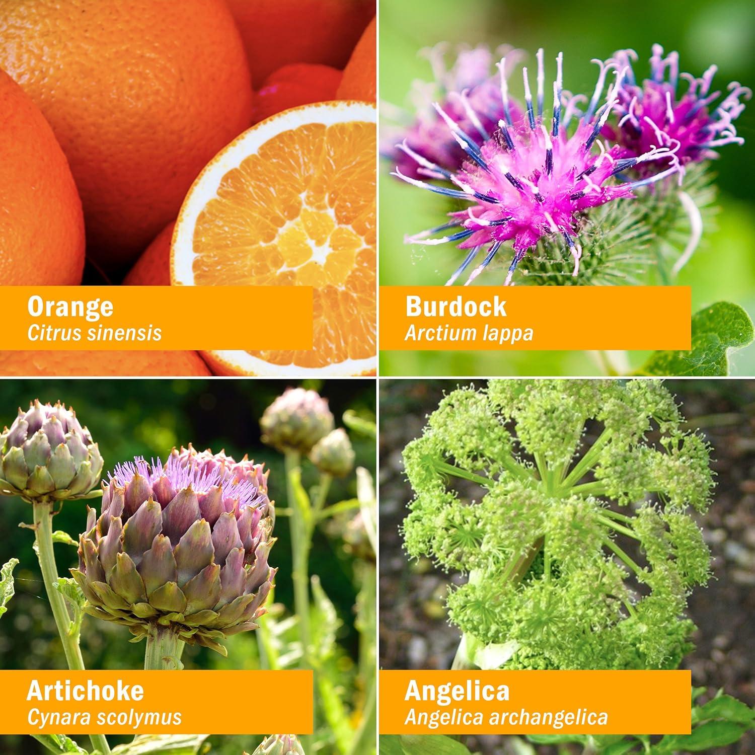 Herb Pharm Better Bitters Amargos Digestivos Naranja 28.35 ml