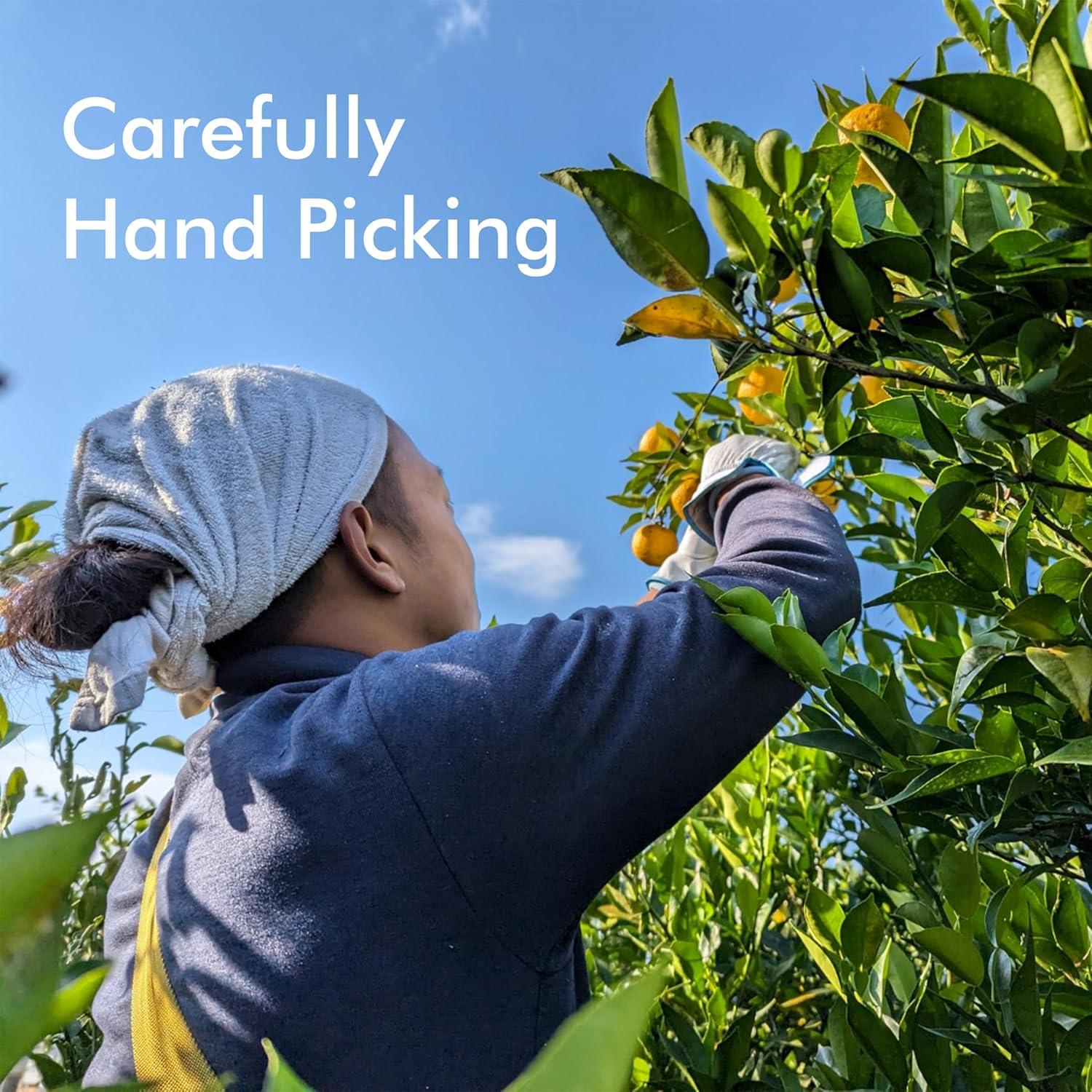 Jugo de Yuzu 100% Japonés YAMASAN 100ml - Sabor Natural Sin Aditivos