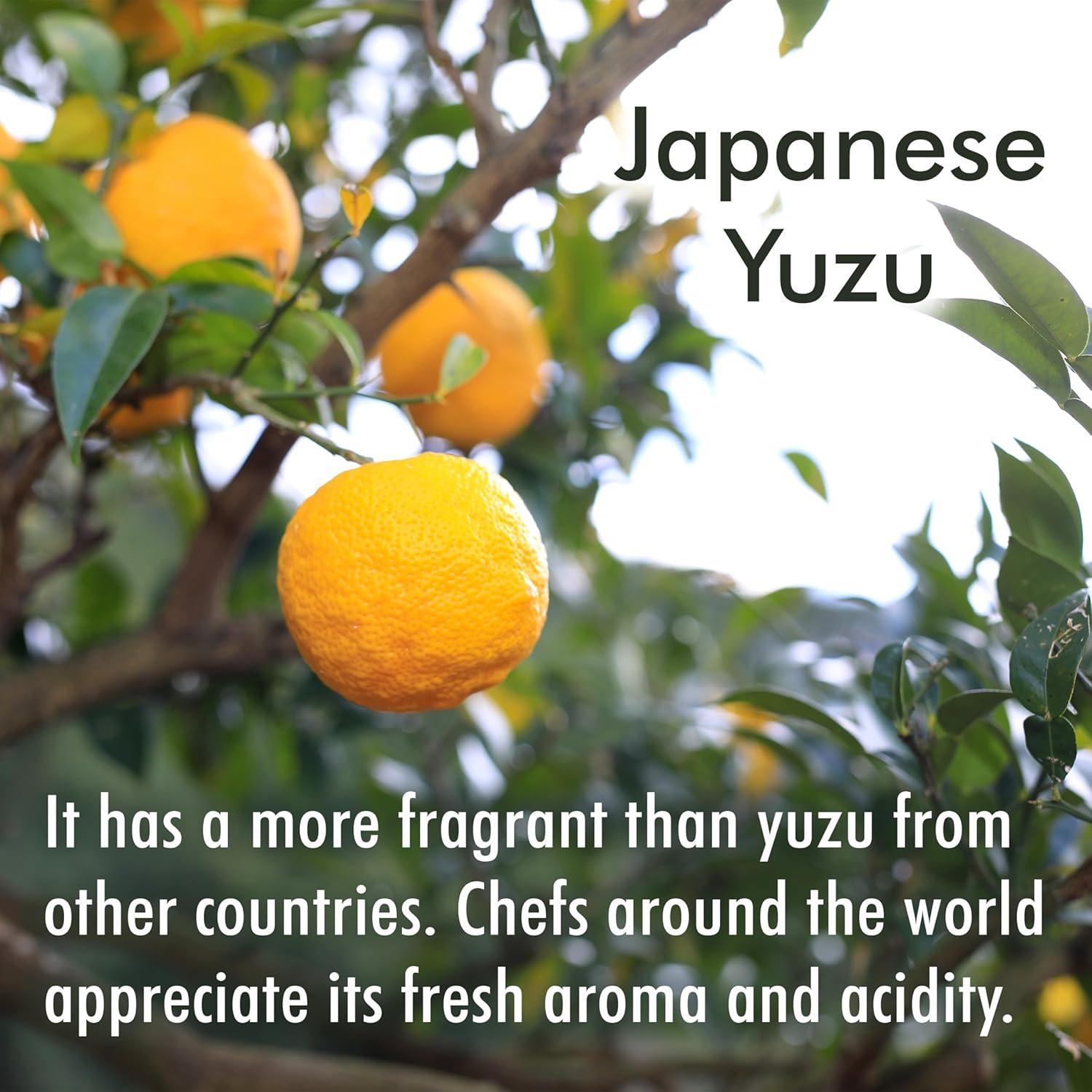 Jugo de Yuzu 100% Japonés YAMASAN 100ml - Sabor Natural Sin Aditivos