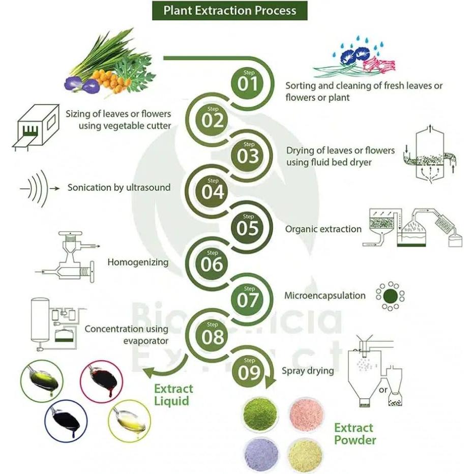 Extracto de Yuzu Líquido 80ml BIONUTRICIA EXTRACT Sin Aditivos