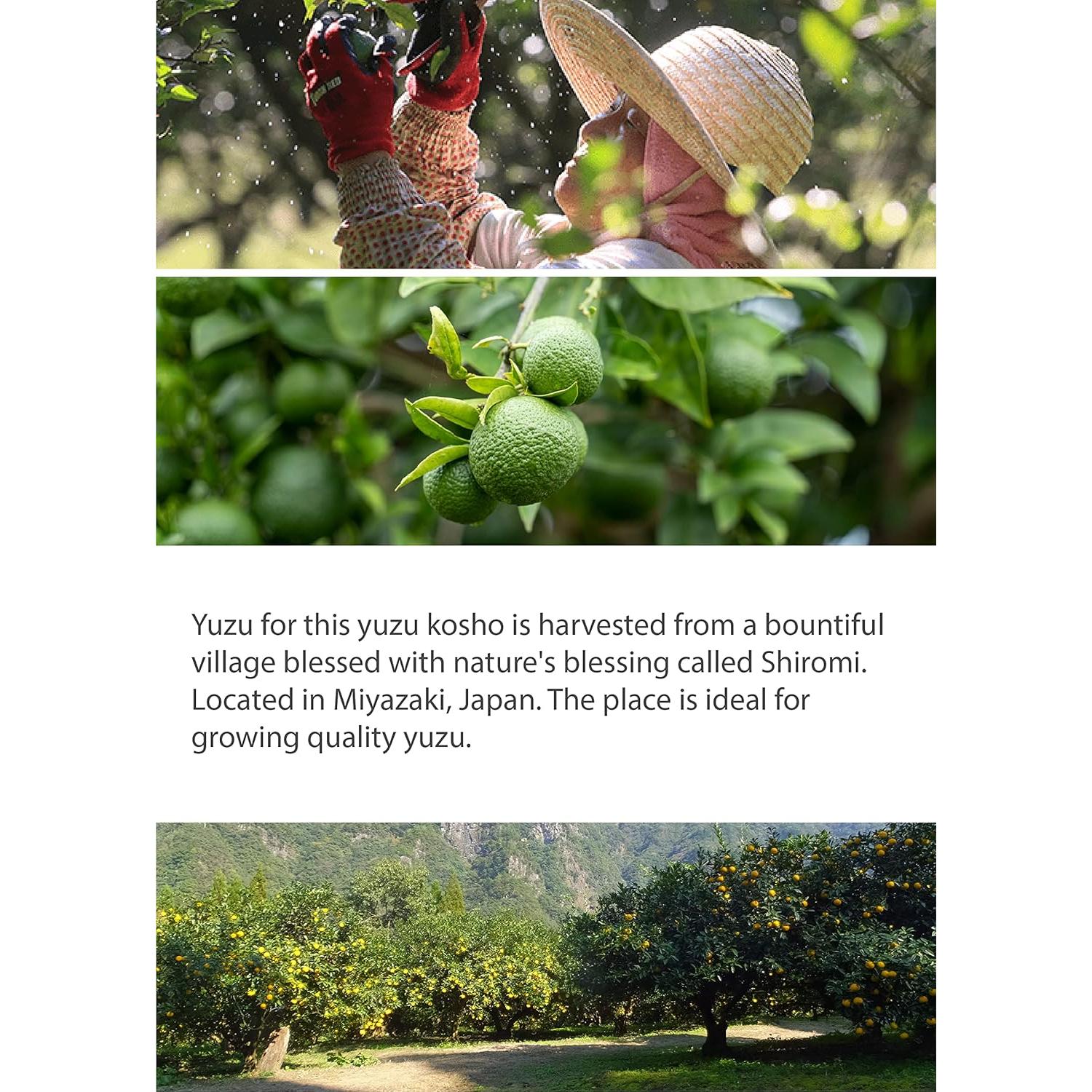 Pasta de Sazonador Picante Yuzu Kosho Verde 200g Kawashimaya