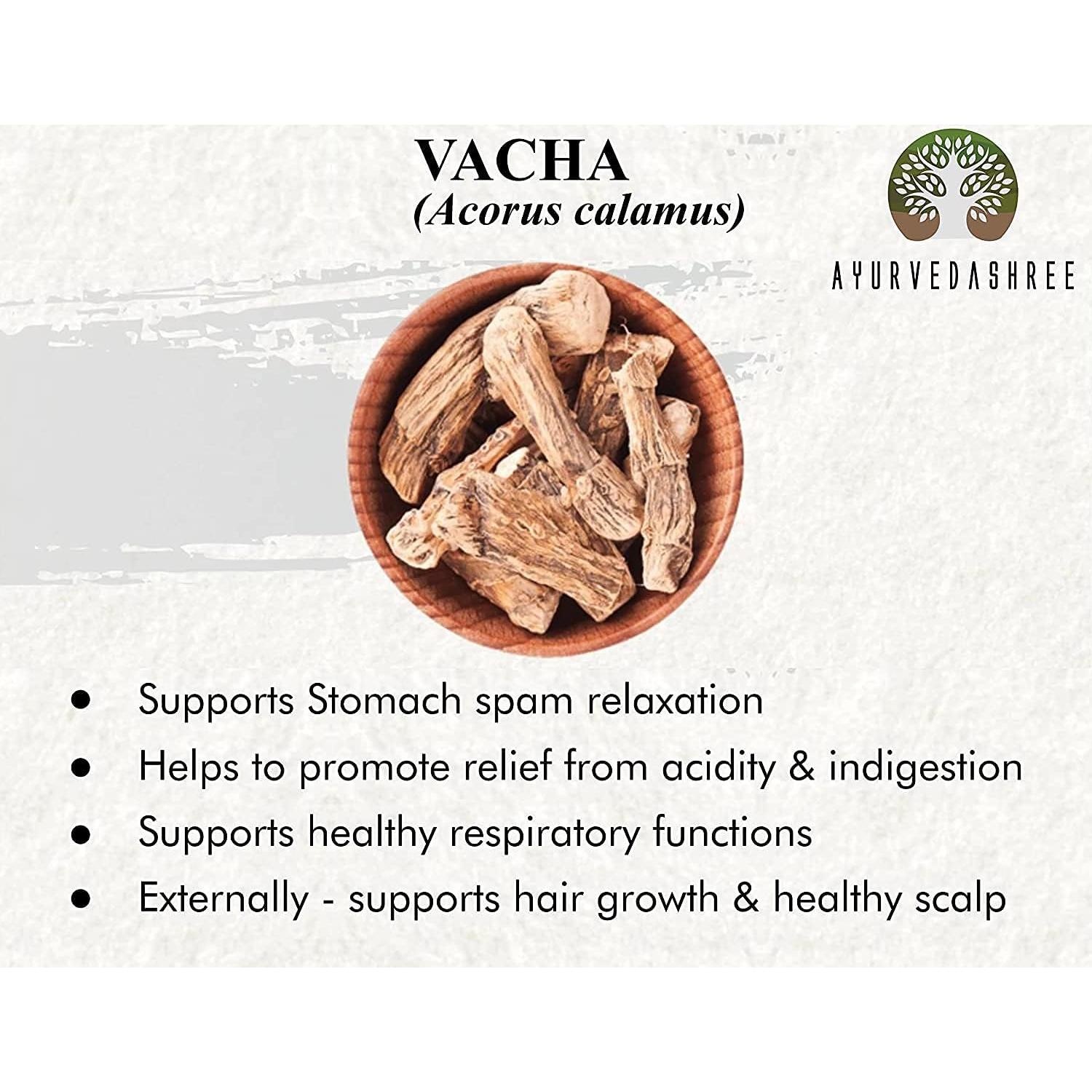 Polvo de Calamus 200 g - Acorus Calamus - Apoya Digestión