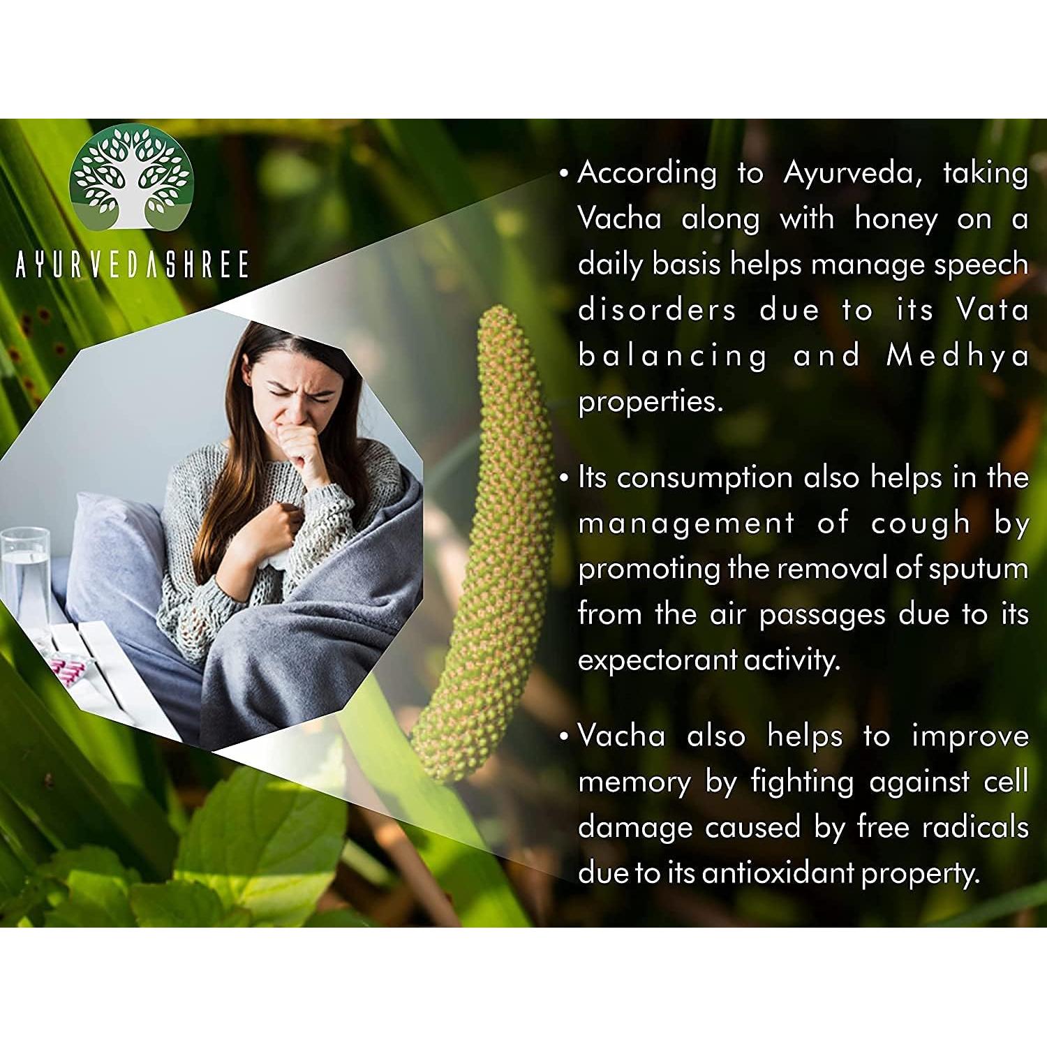 Polvo de Calamus 200 g - Acorus Calamus - Apoya Digestión