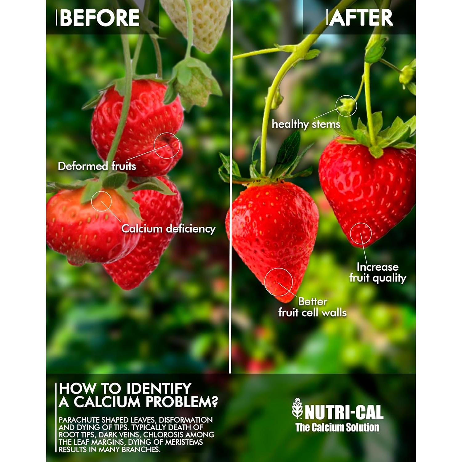 Fertilizante Líquido de Calcio Nutri-Cal 9.46L para Tomates