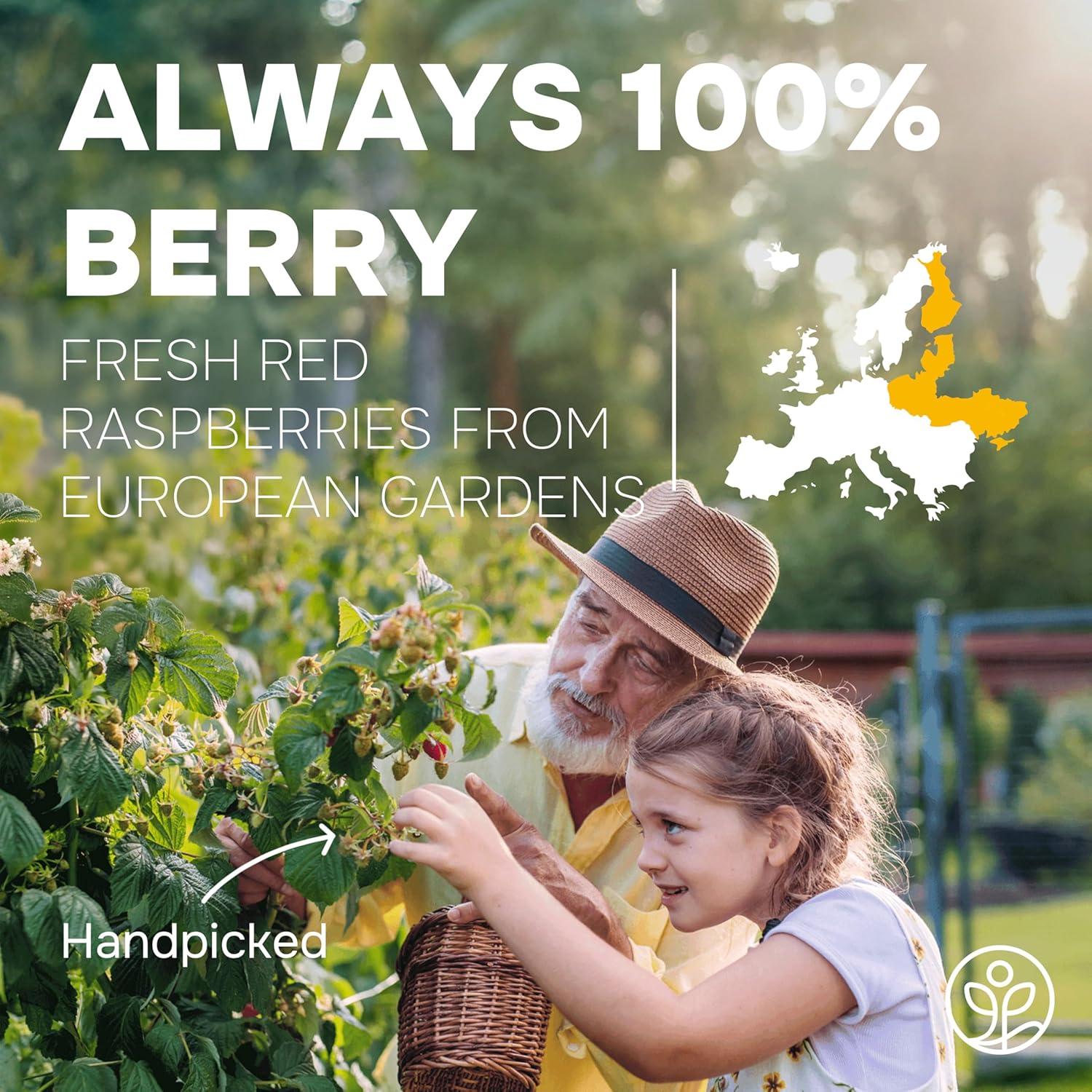 Polvo de Frambuesa Jungle Powders 99g Sin Azúcar Liofilizado