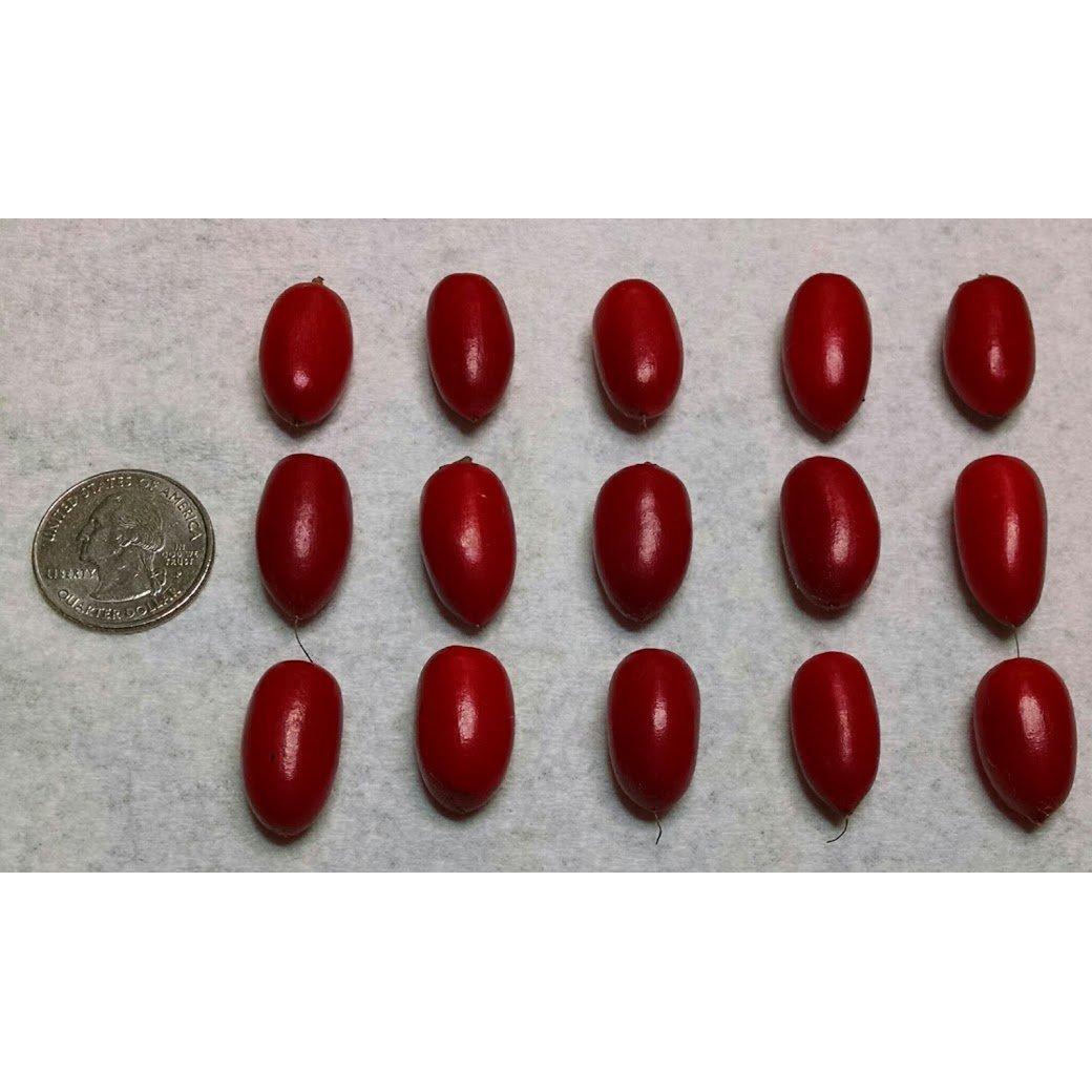 Berries de Fruta Milagrosa Fresca - 15 Unidades - Jardín de Ethans