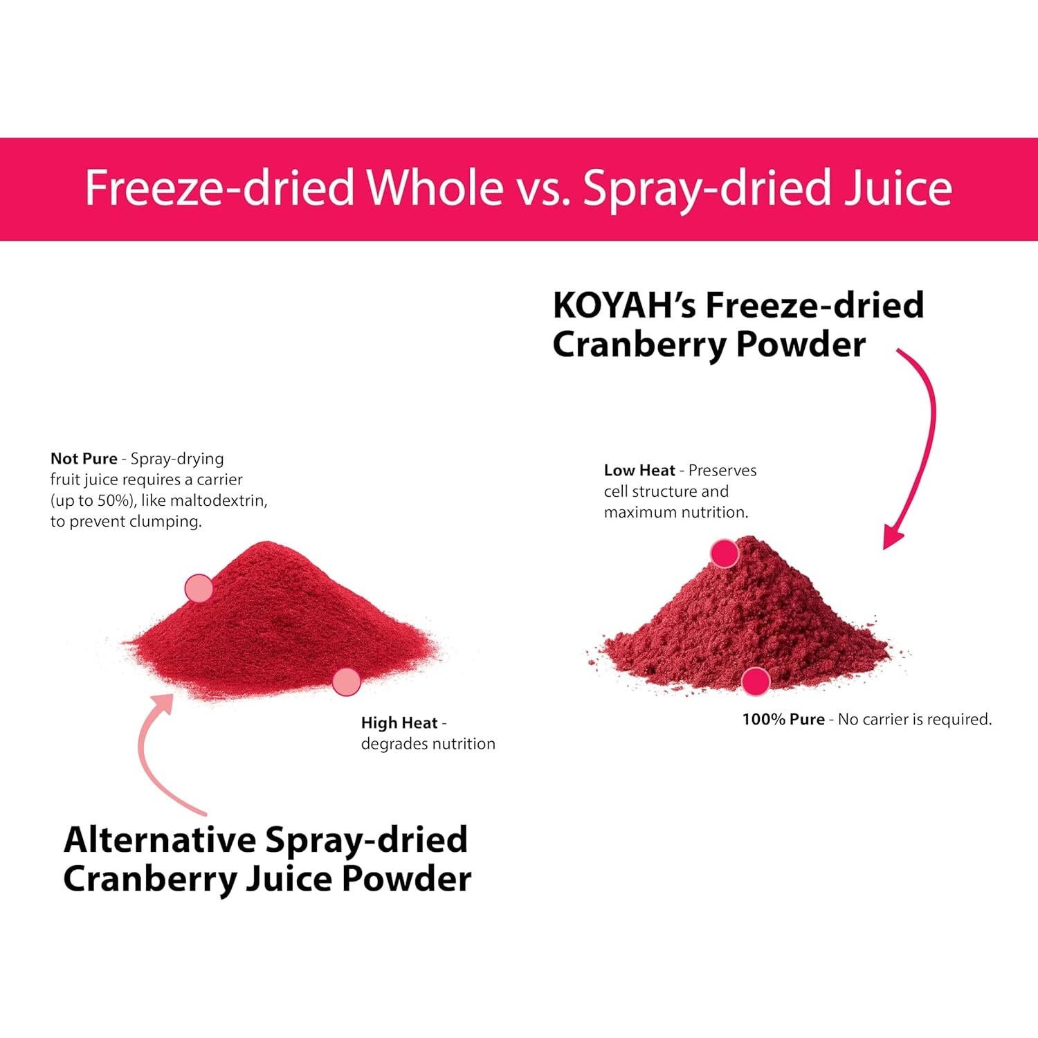Polvo de Arándano Orgánico KOYAH - 30 Porciones Liofilizado