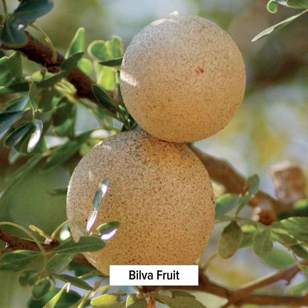 Polvo de Bilva Orgánico Banyan Botanicals 226g - Aegle marmelos