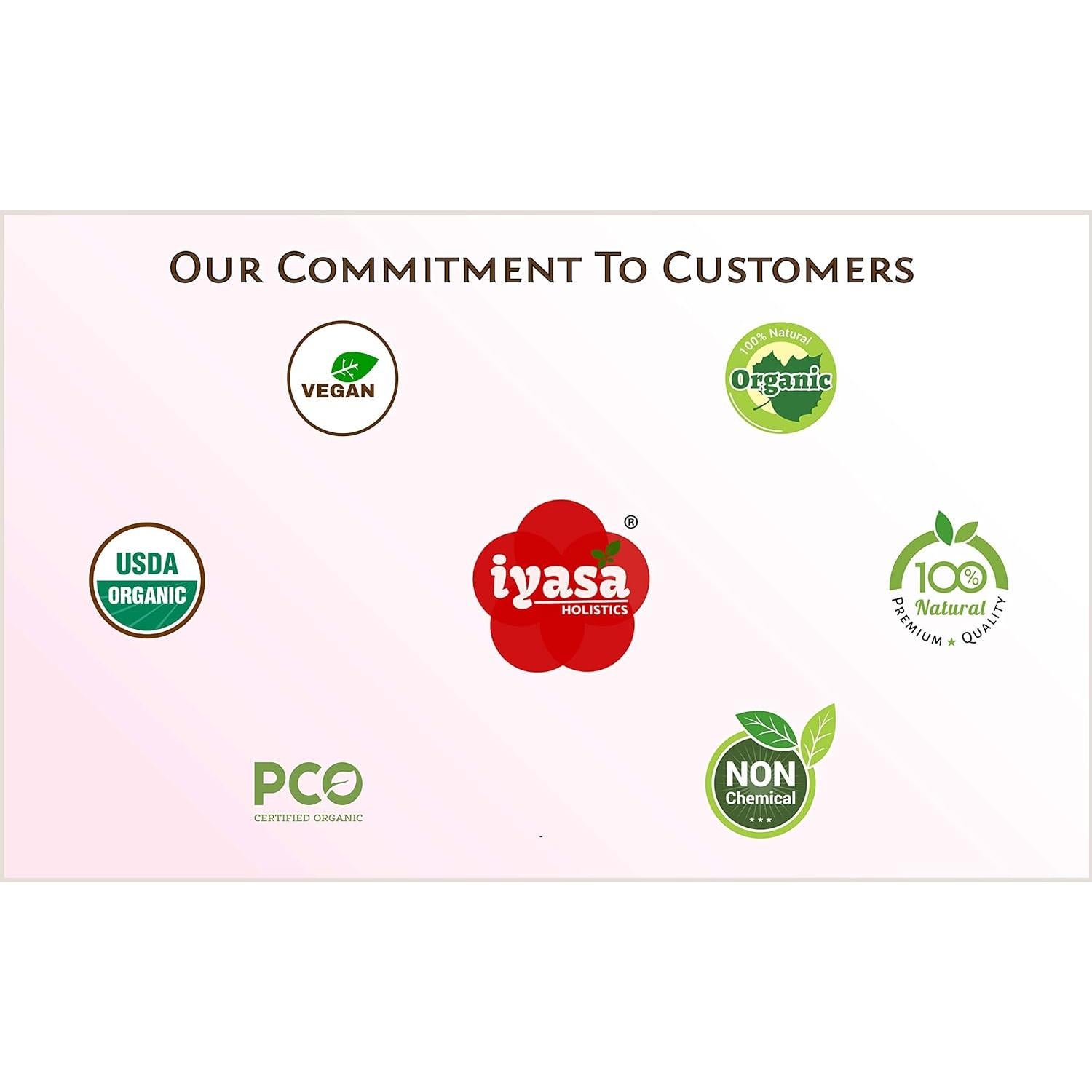 Polvo de Haritaki Orgánico Iyasa 113.4g - Superalimento Digestivo