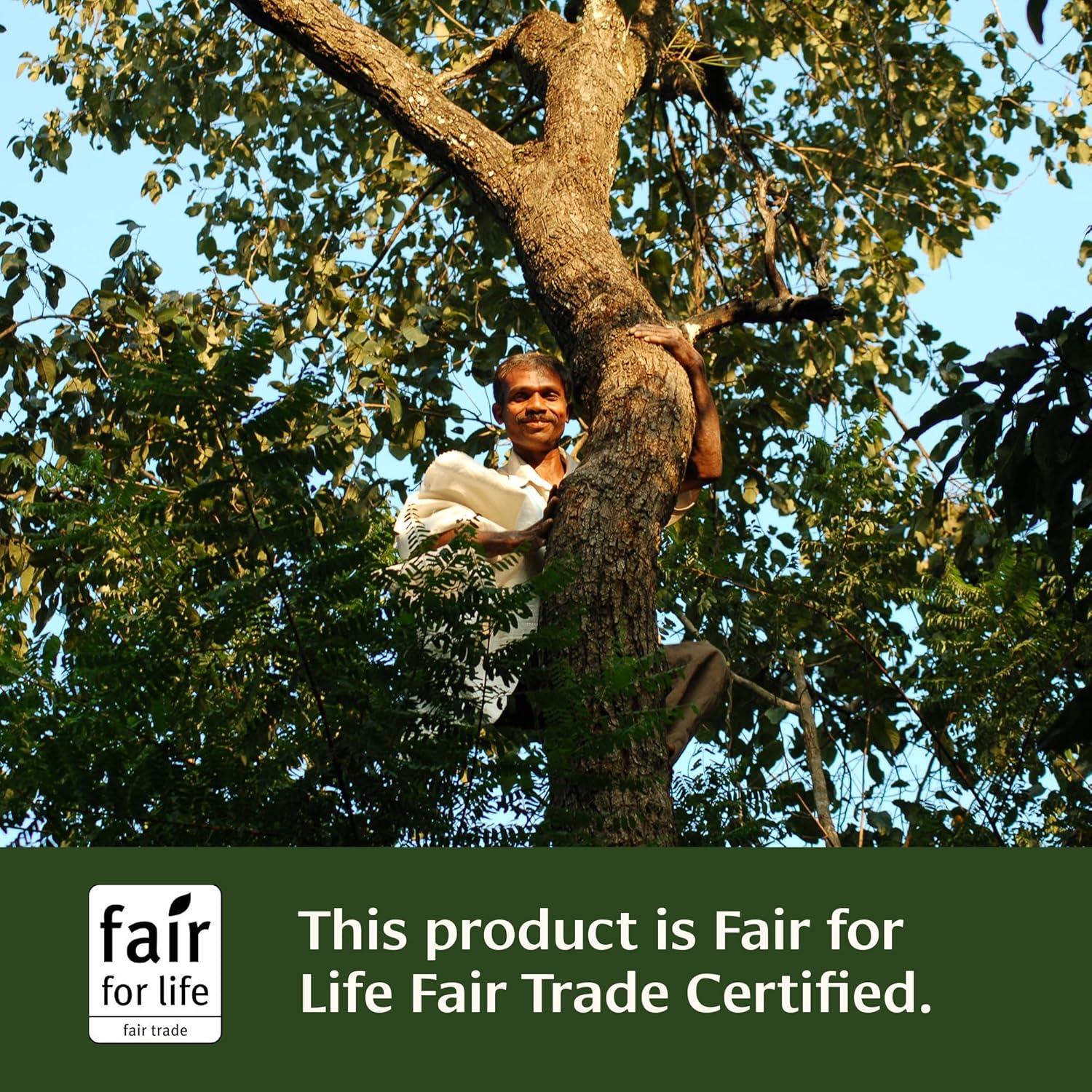 Polvo de Haritaki Orgánico Banyan Botanicals 226.8 g - Suplemento Digestivo