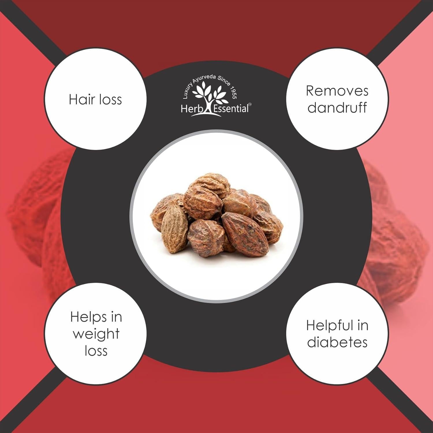 Polvo de Haritaki Orgánico Herb Essential 100g - Suplemento Ayurvédico