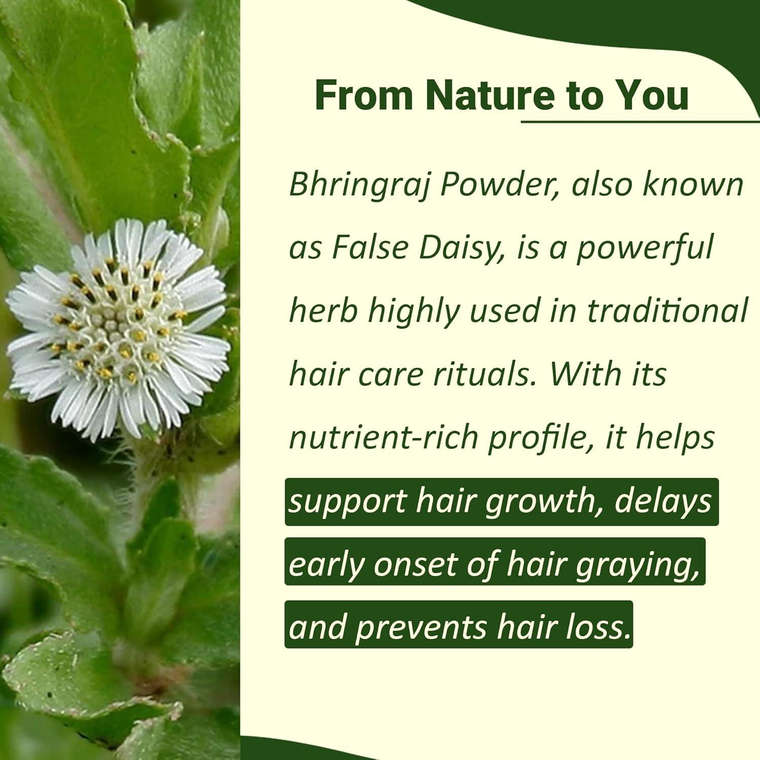 Polvo de Bhringraj 227g - mi naturaleza | 100% Natural para Cabello