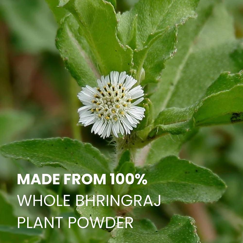 Polvo de Bhringraj 227g - Hebhac Herbs para Crecimiento del Cabello