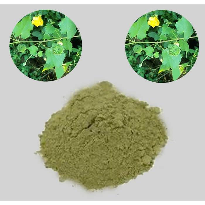 Polvo de Hojas de Thuthuvalai 100 g - Solanum trilobatum