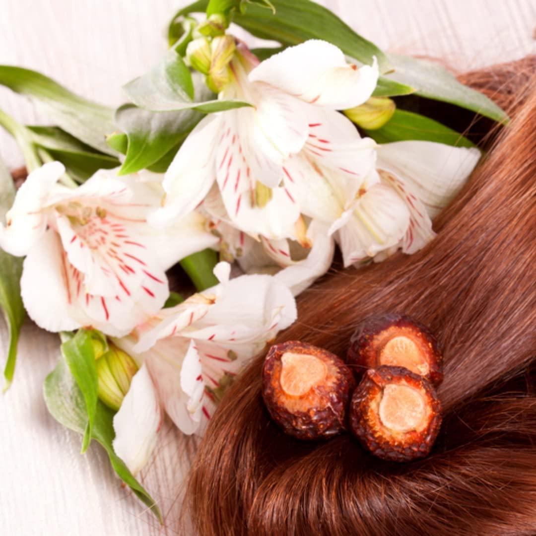 Polvo de Nuez de Jabón SVATV 227g | Champú Natural Ayurvédico