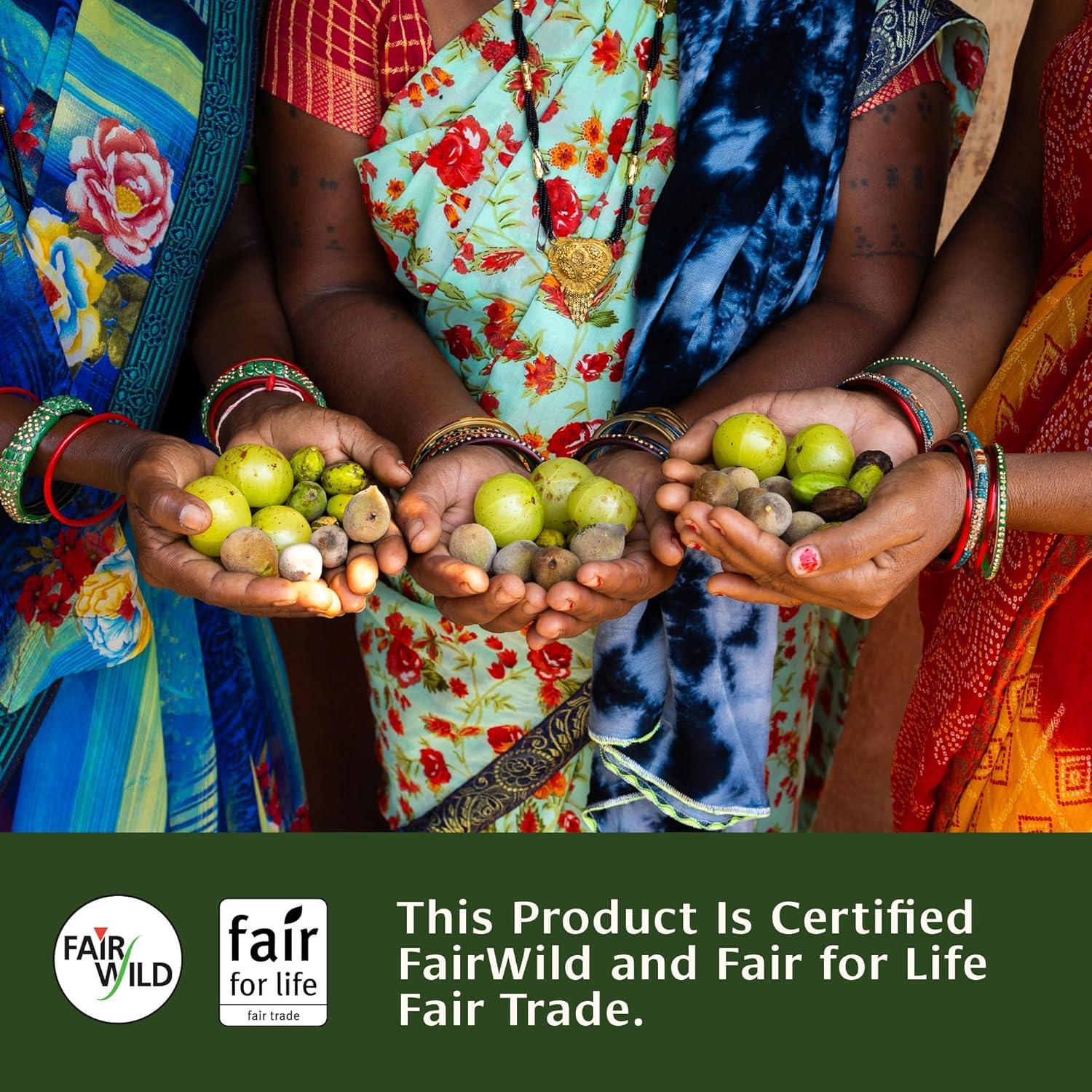 Polvo de Triphala Orgánico Banyan Botanicals 454g - Suplemento Digestivo