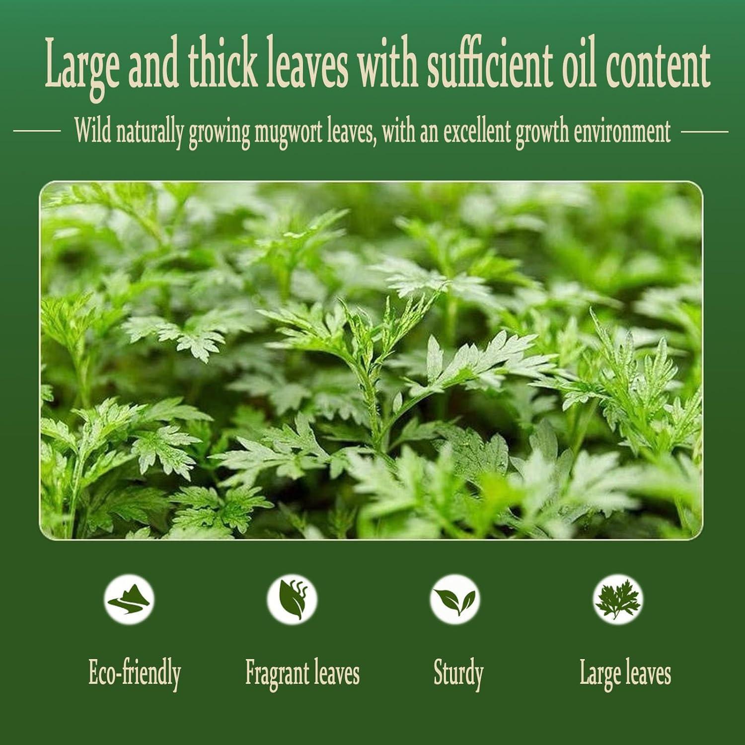 Polvo de Artemisa 400g - Té de Artemisa Orgánico Premium