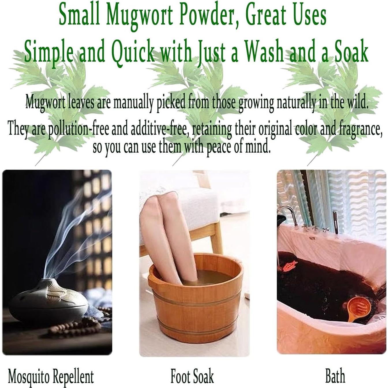 Polvo de Artemisa 400g - Té de Artemisa Orgánico Premium