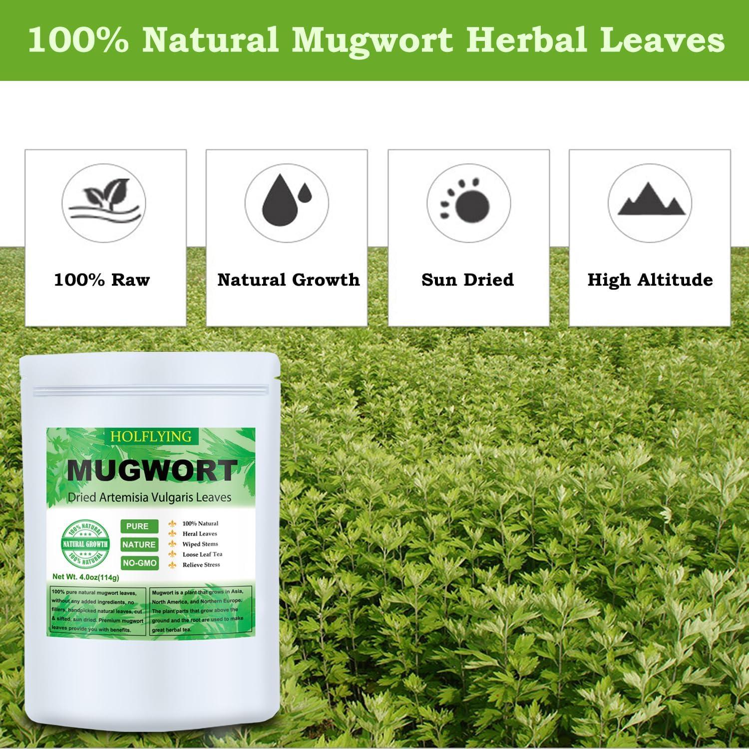 Hojas Secas de Artemisa 200g Holfcitylf - Té Natural Sin OGM