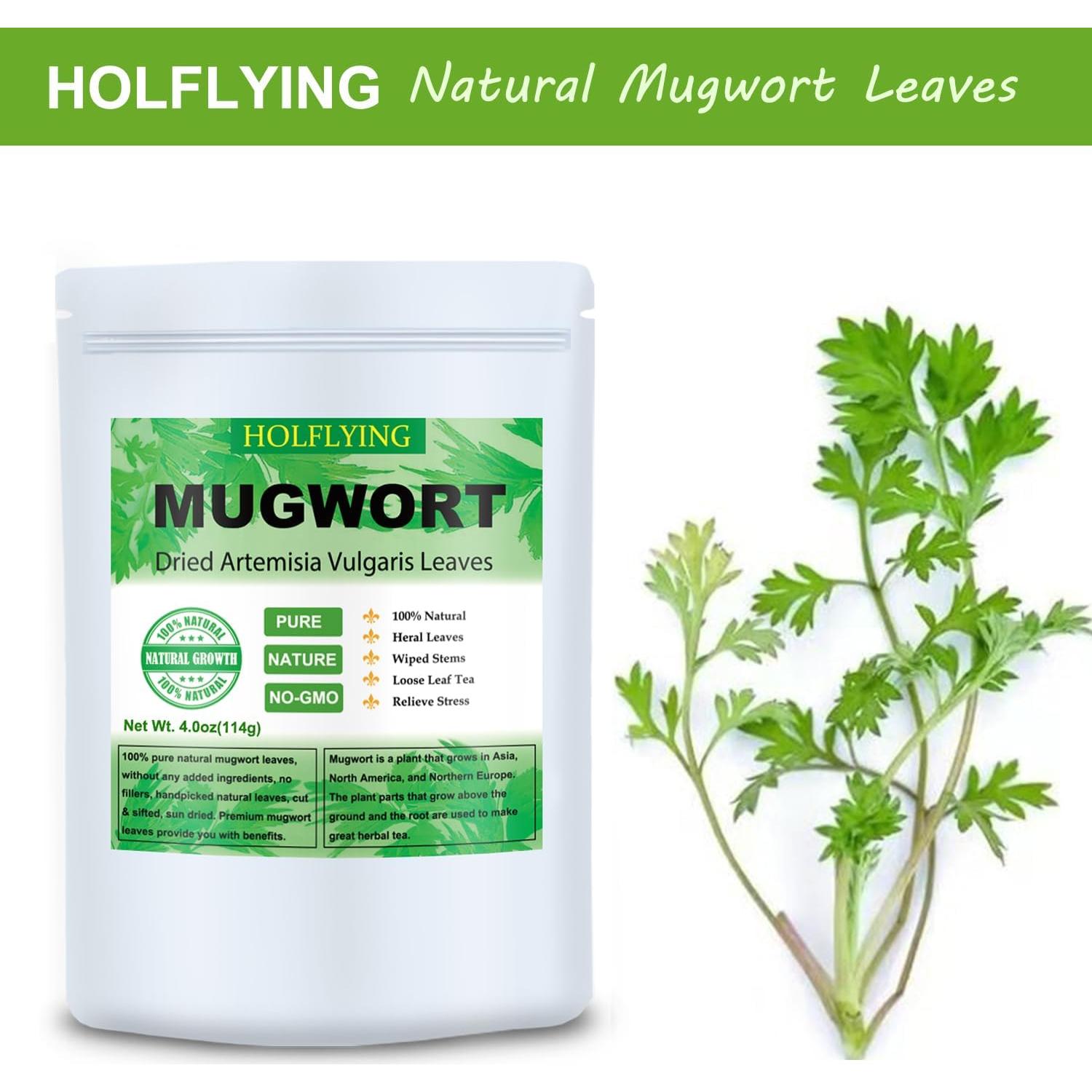 Hojas Secas de Artemisa 200g Holfcitylf - Té Natural Sin OGM