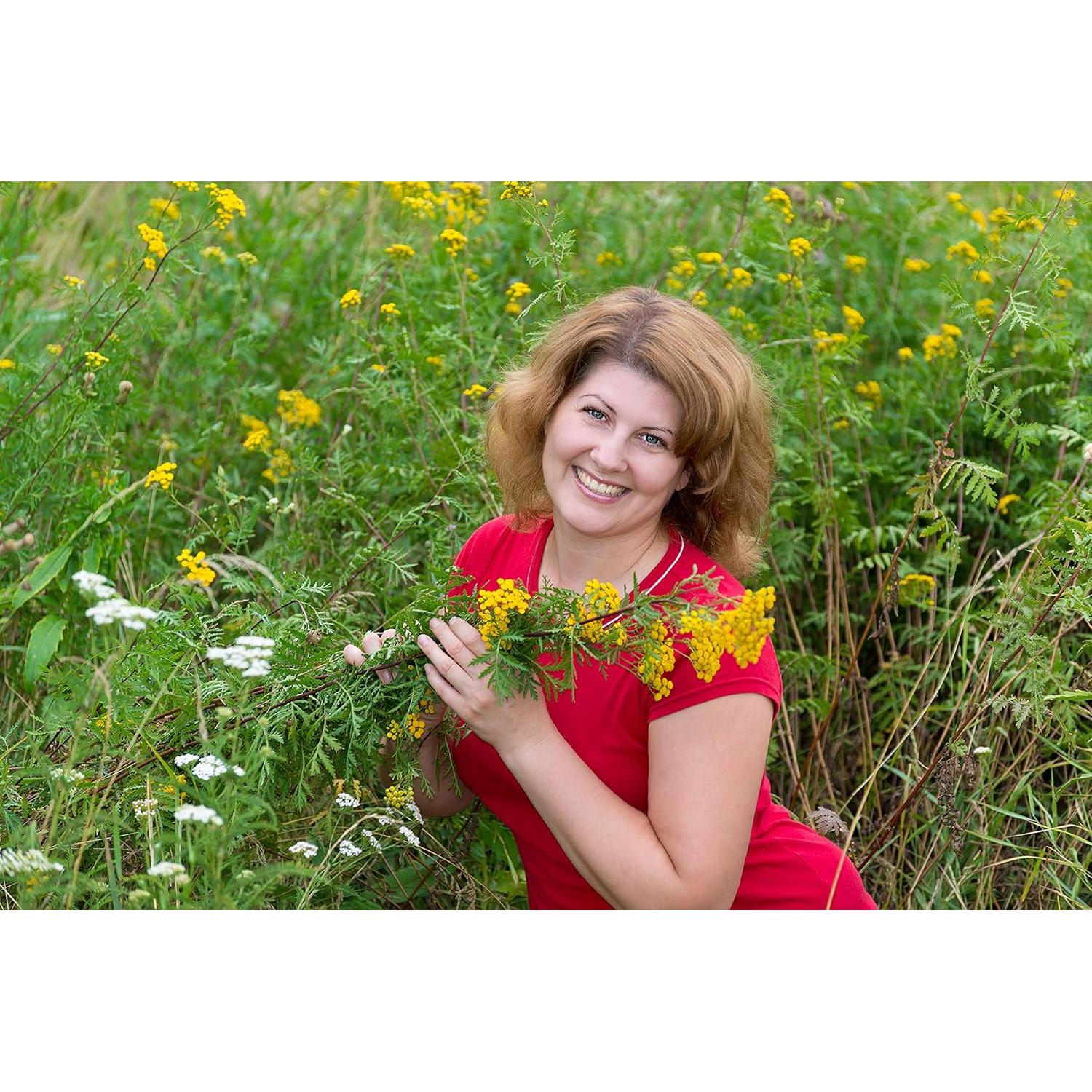 Té Herbal Tansy Embajada de Salud 50g - Tanacetum Vulgare