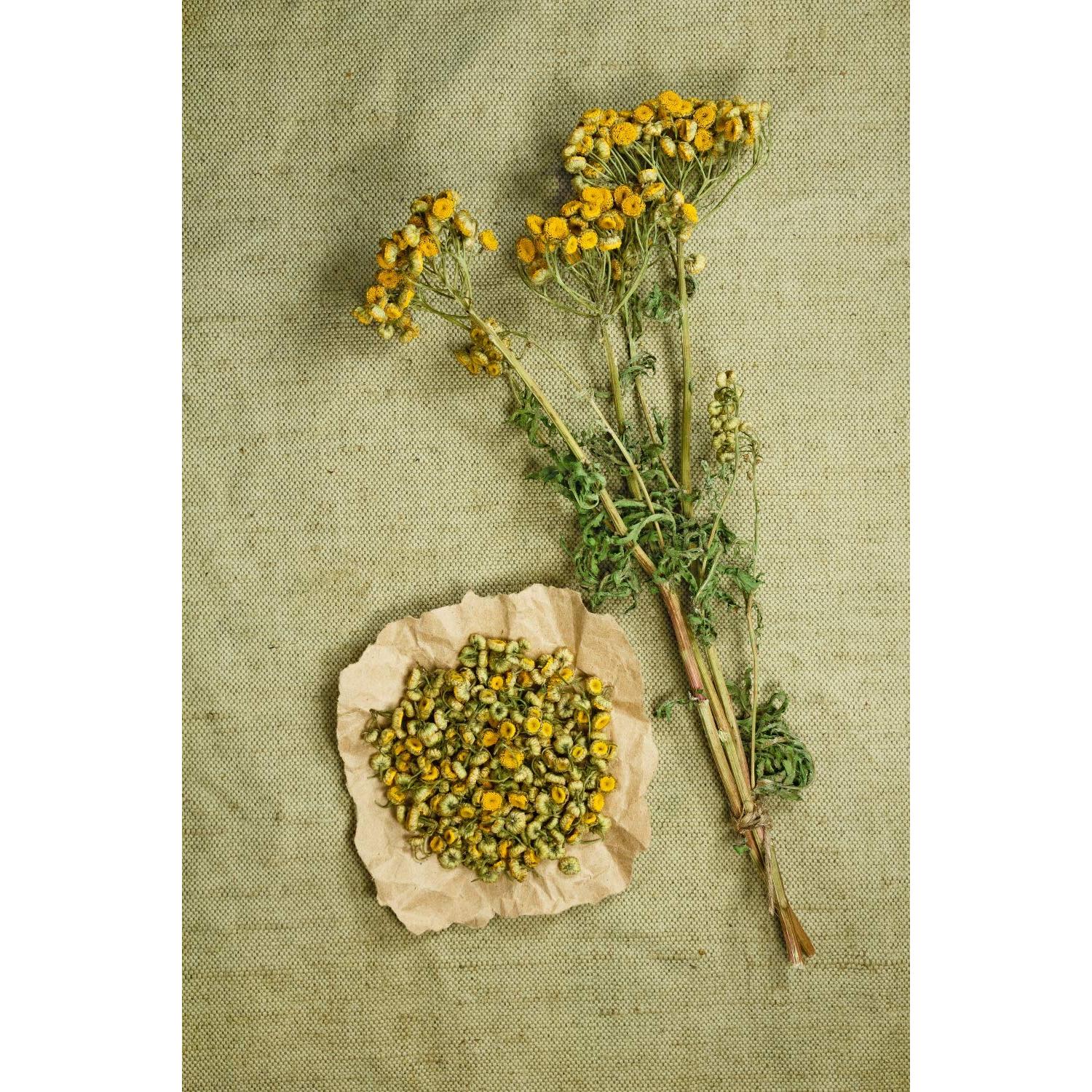 Té Herbal Tansy Embajada de Salud 50g - Tanacetum Vulgare