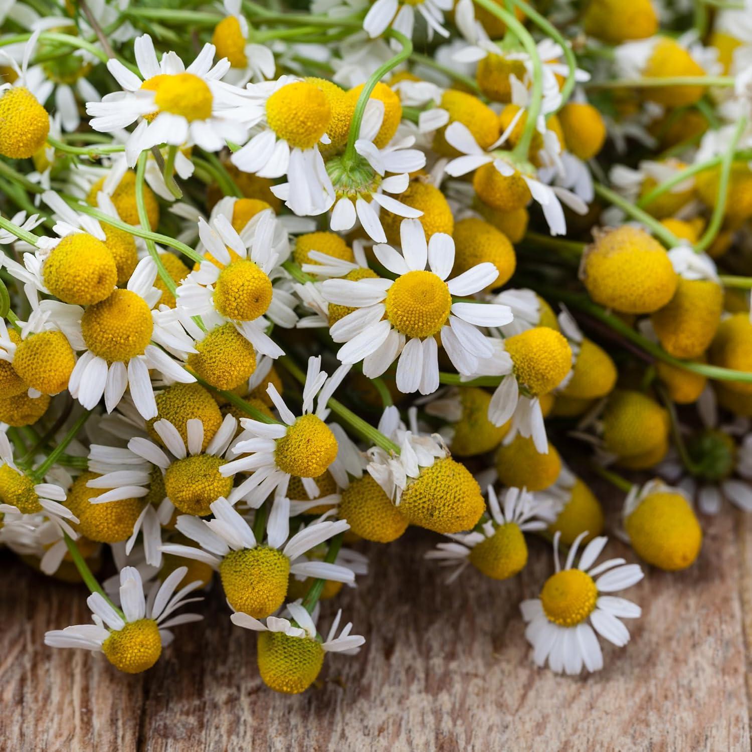 Extracto de Manzanilla Earthborn Elements 200 Cápsulas Puro