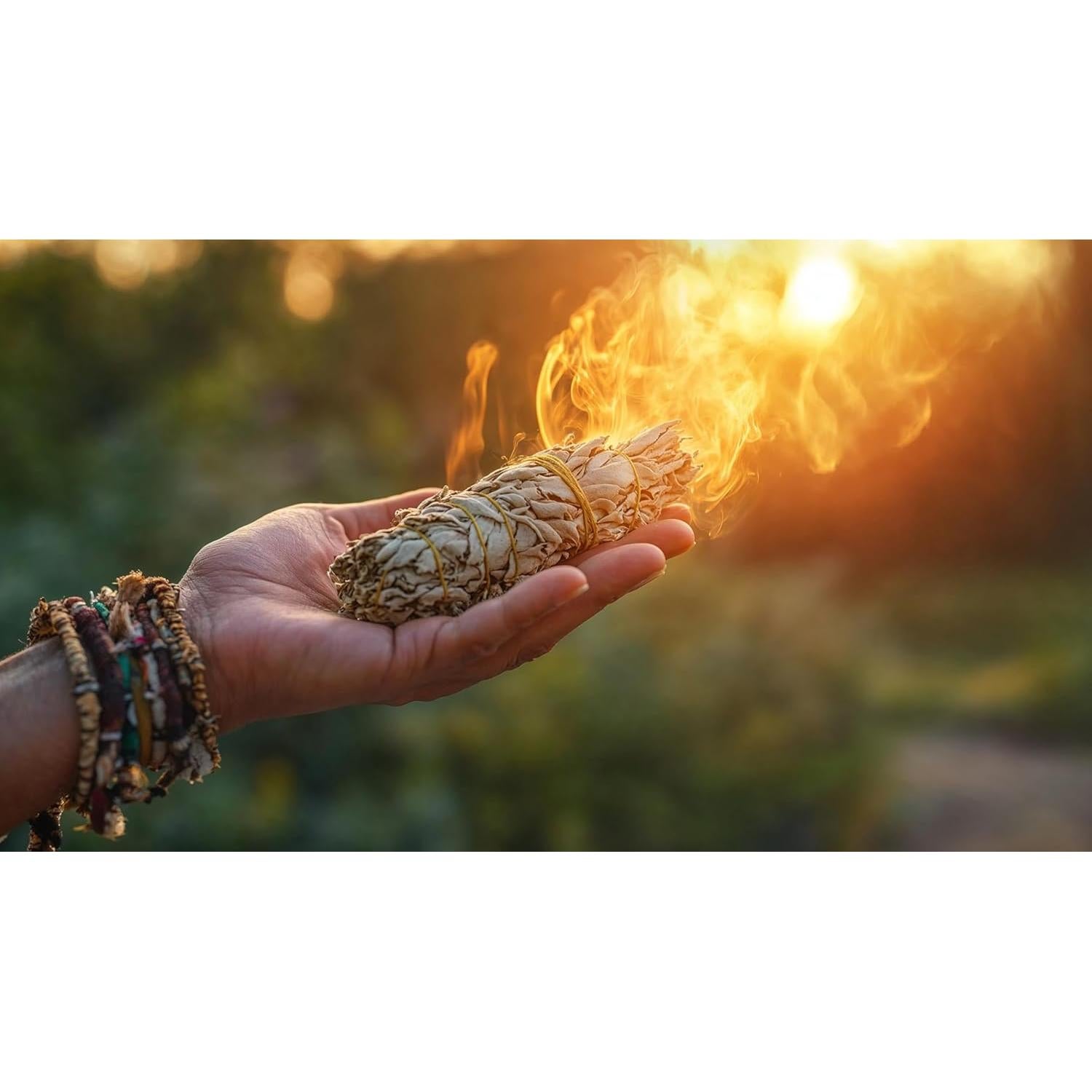 Salvia Orgánica U.S. Wellness 0.45 kg - Té y Condimento