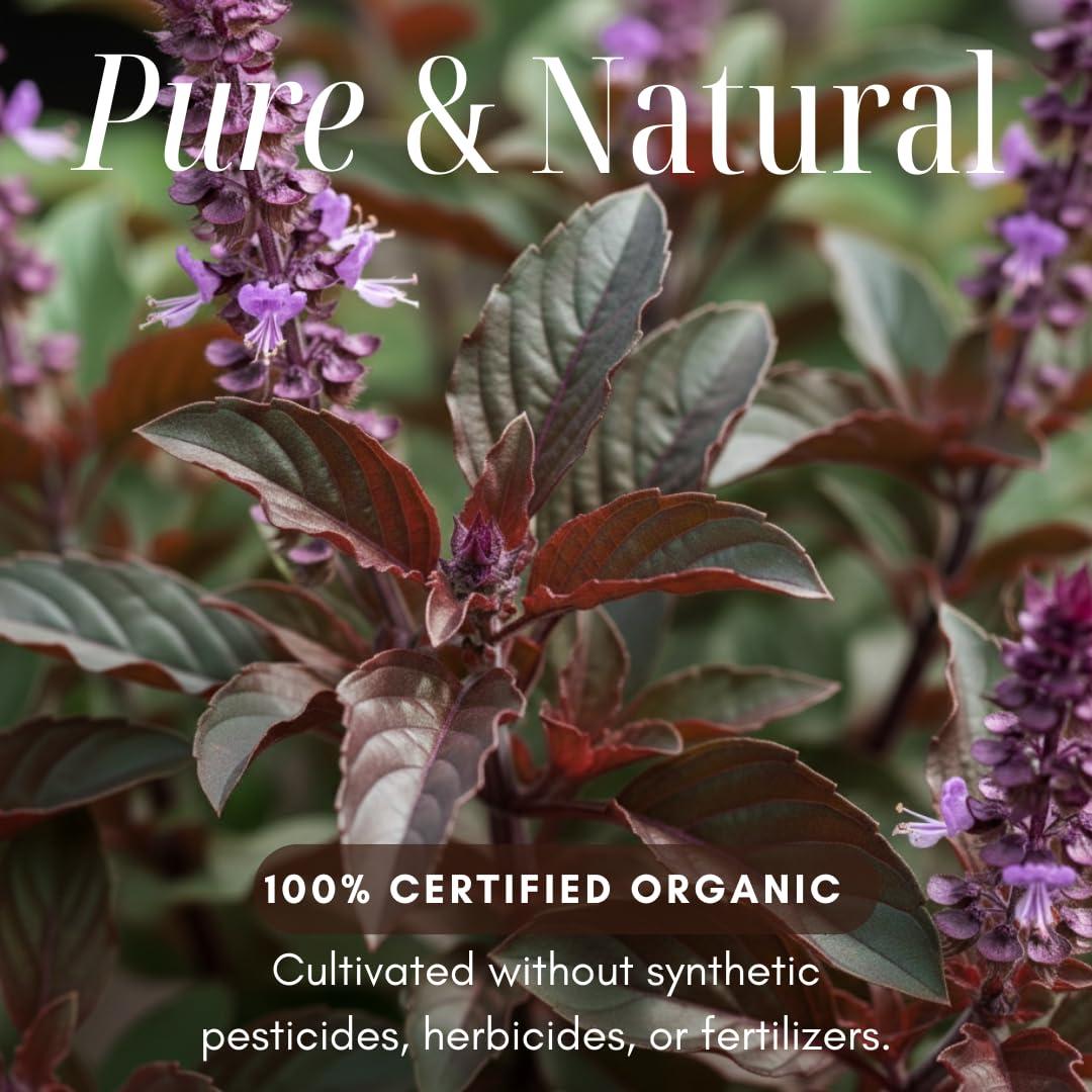 Polvo de Albahaca Sagrada Tailandesa Orgánica 113.4g - Sazonador Gourmet