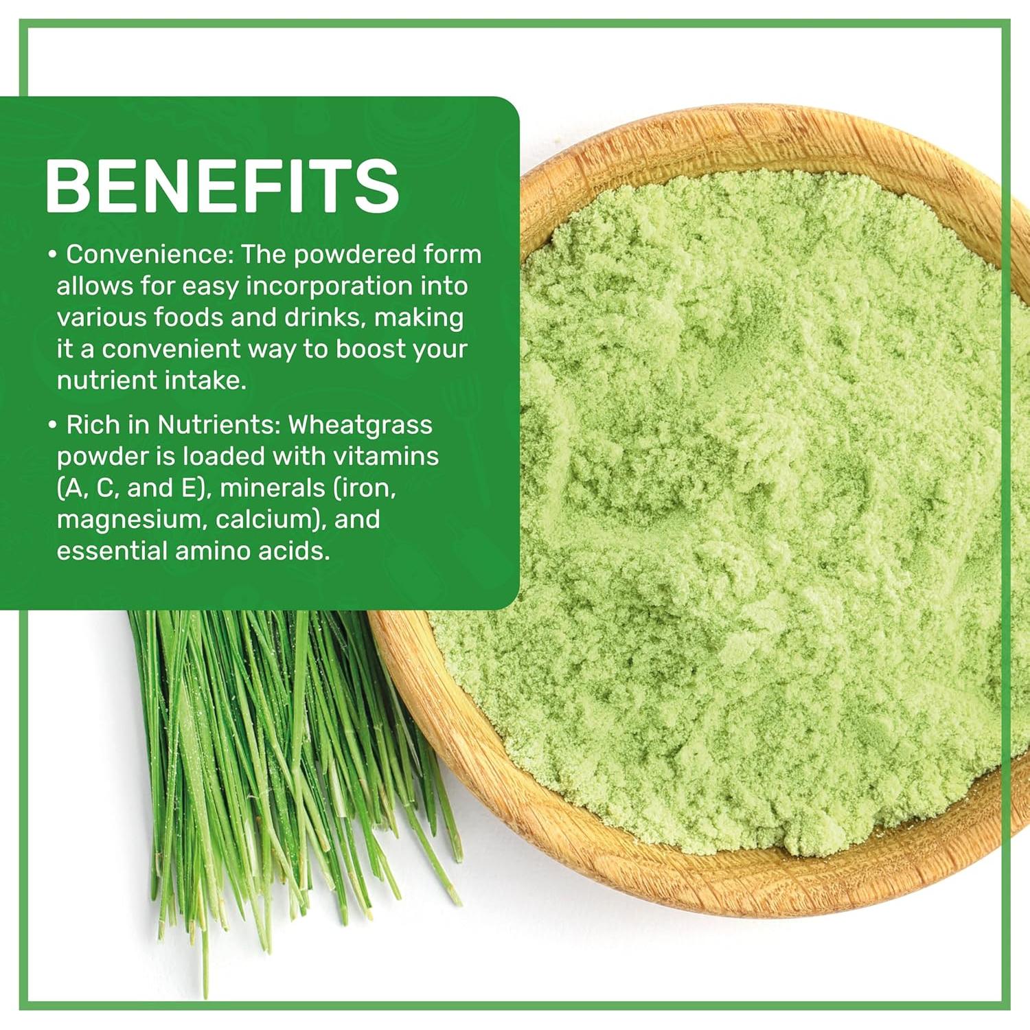 Polvo de Jugo de Pasto de Trigo Orgánico Jiva 340g Bolsa Kraft