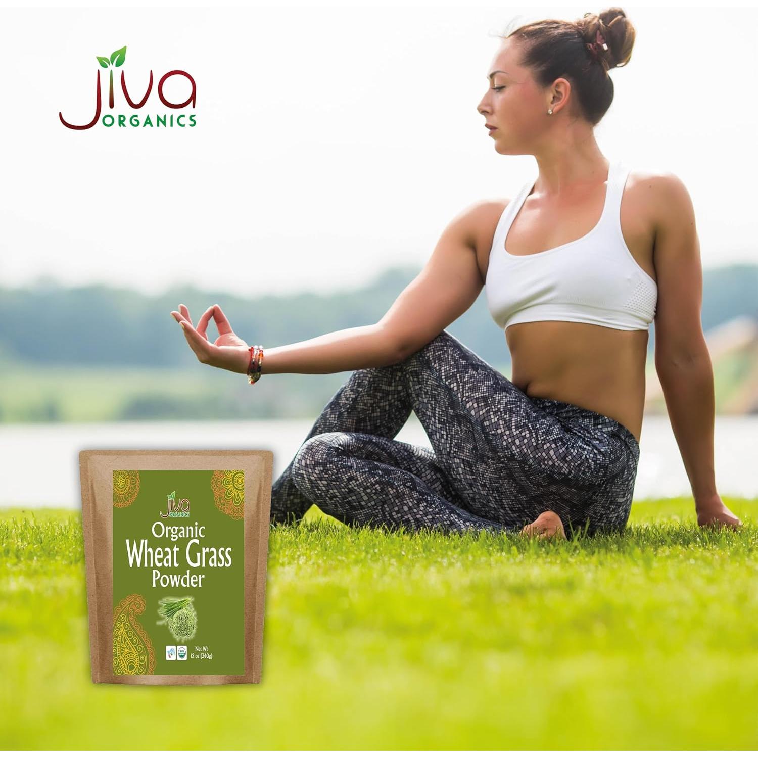 Polvo de Jugo de Pasto de Trigo Orgánico Jiva 340g Bolsa Kraft