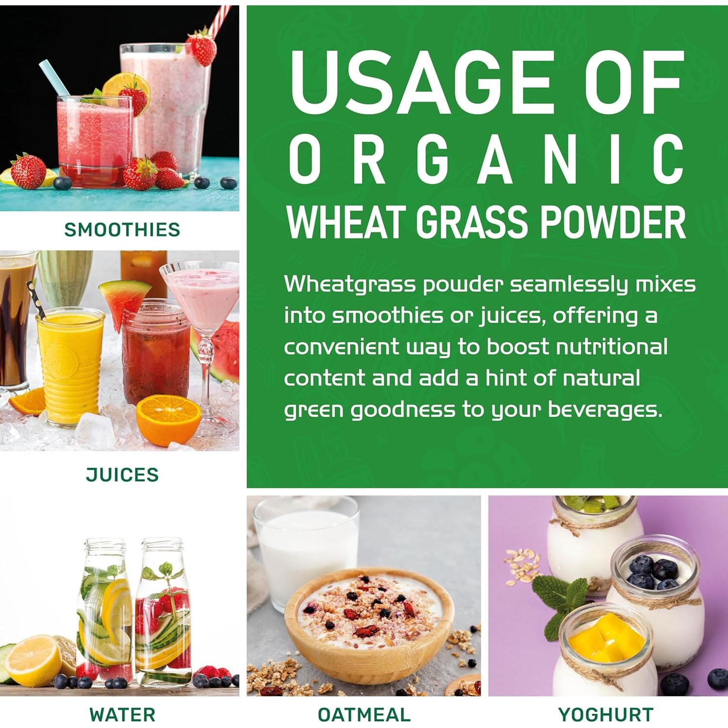 Polvo de Jugo de Pasto de Trigo Orgánico Jiva 340g Bolsa Kraft