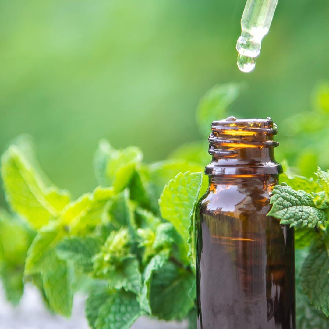 Cápsulas de Hojas de Menta Earthborn Elements 200 Unidades