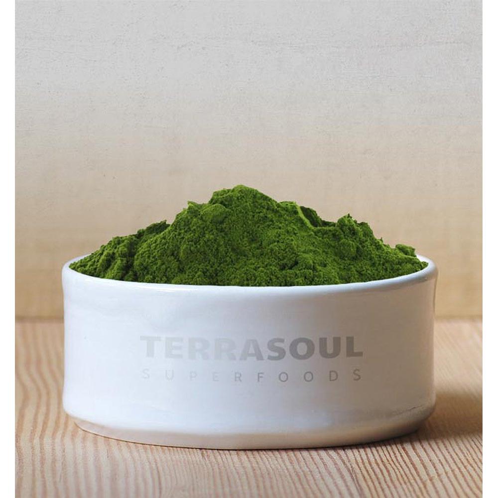 Polvo de Jugo de Pasto de Trigo Orgánico Terrasoul 142g
