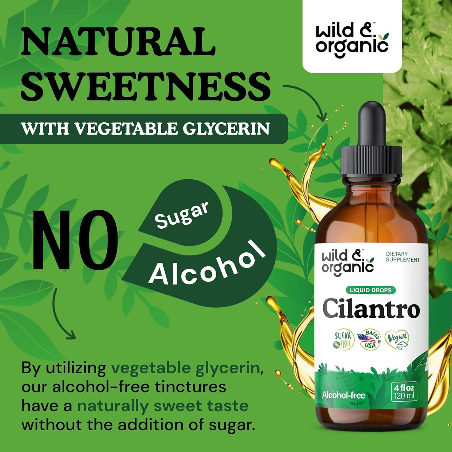 Tintura de Cilantro Silvestre y Orgánico 118 ml - Suplemento Detox