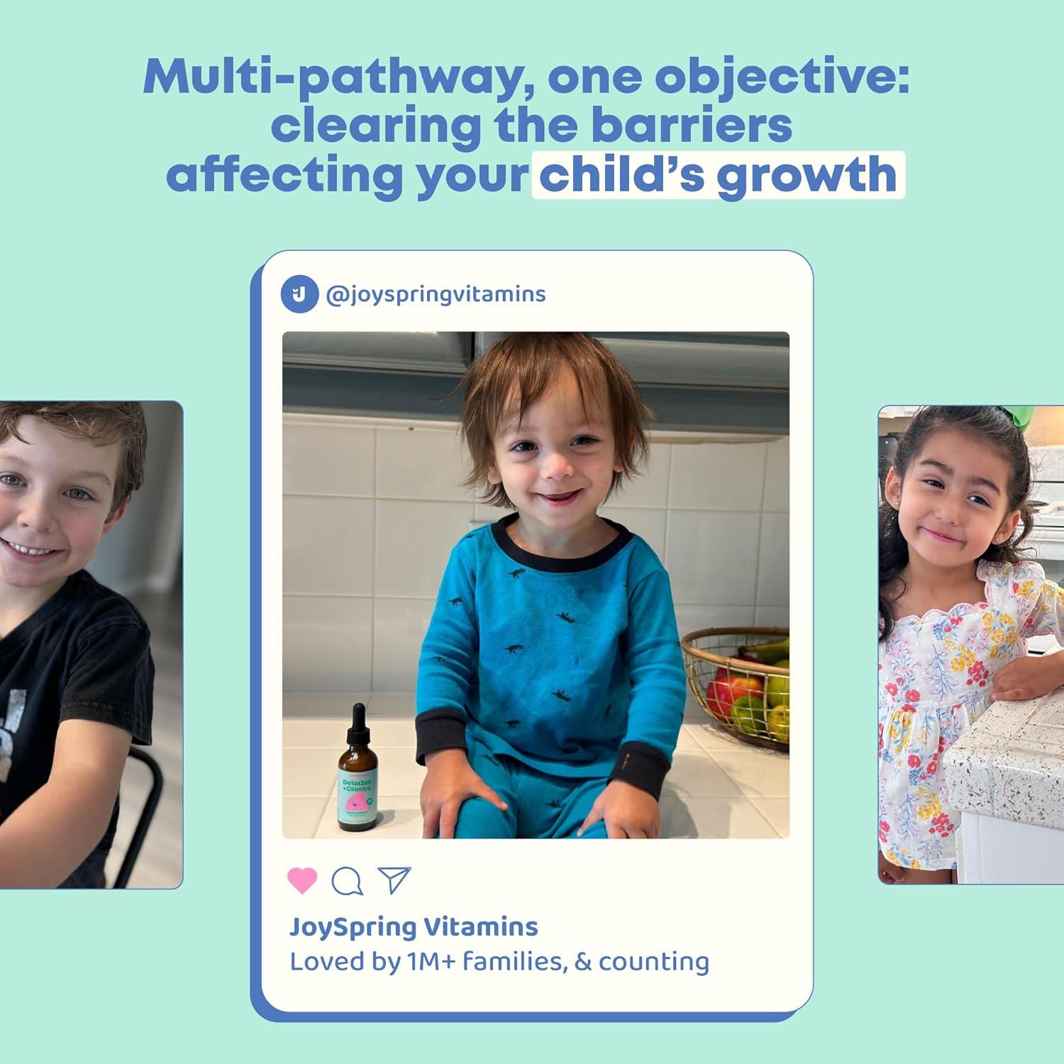 Gotas de Cilantro JoySpring DetoxZee 30 Porciones 29.57 ml