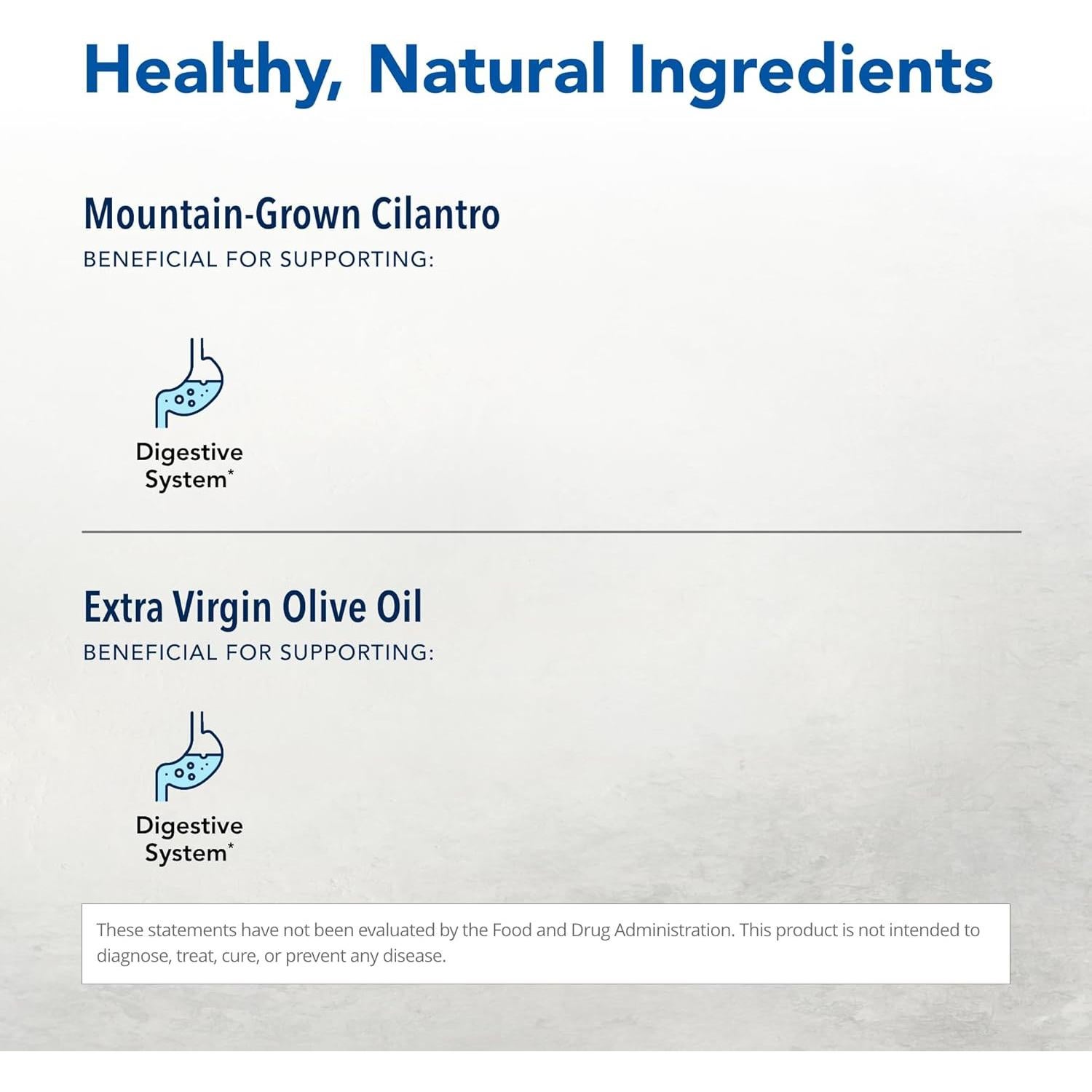 Extracto de Cilantro North American Herb 30 ml - Soporte Digestivo