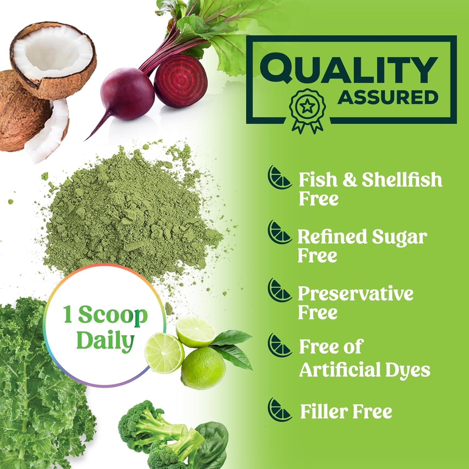 Polvo Verde Superalimento Nature's Nutrition 28 Porciones